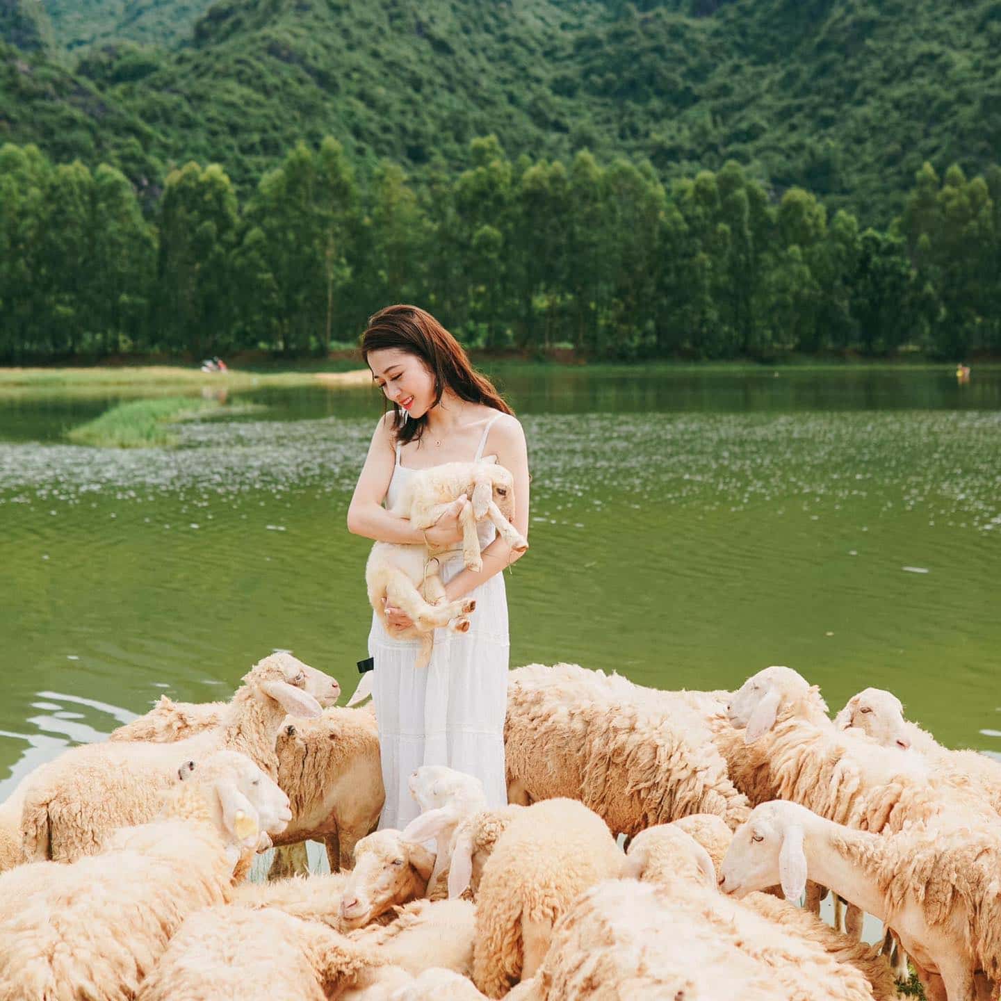 Đồi Cừu Ninh Bình — ảnh 5