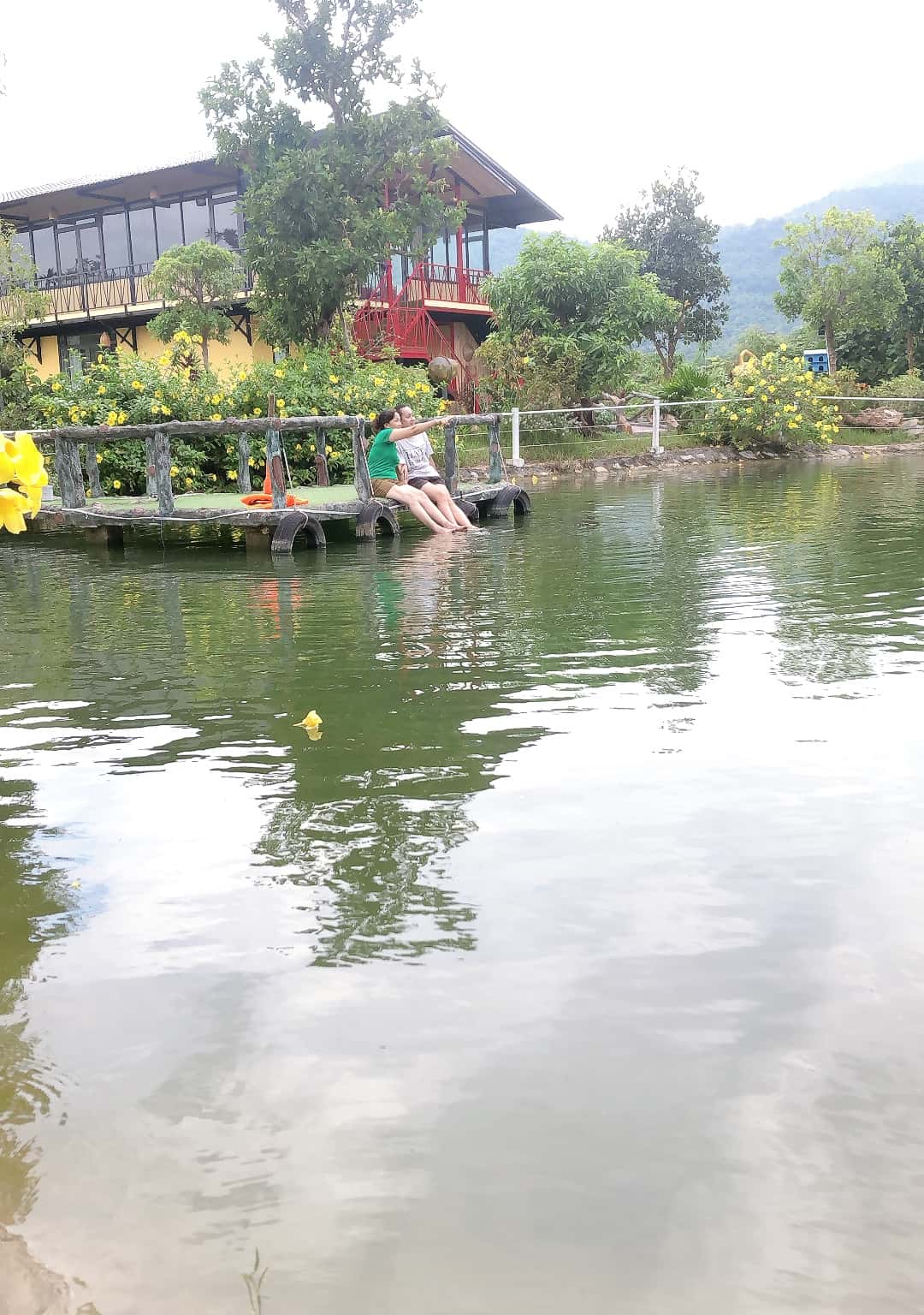 Ảnh 4