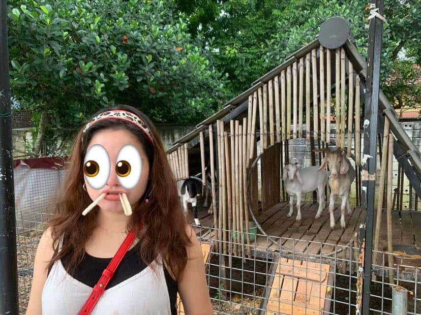 Ảnh 8