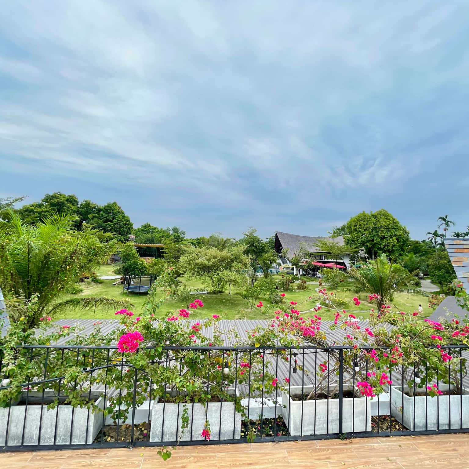 写真1