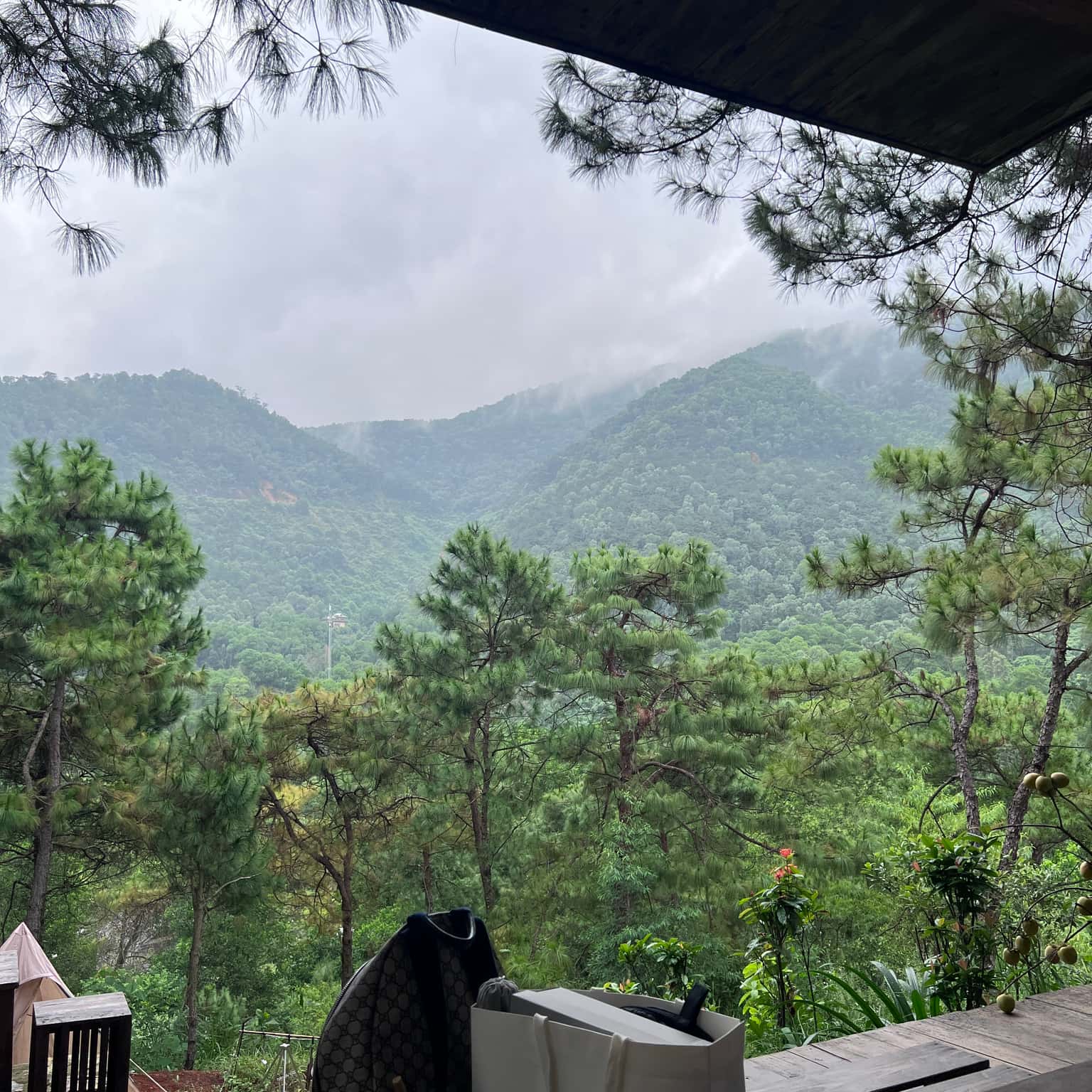 Ảnh 2