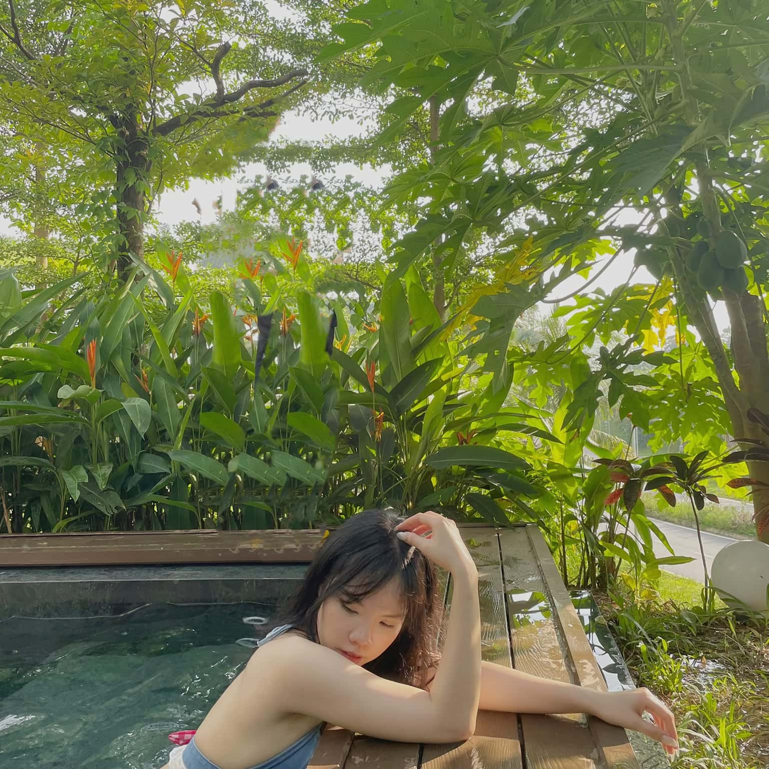Ảnh 1