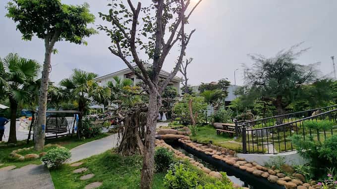 Ảnh 6