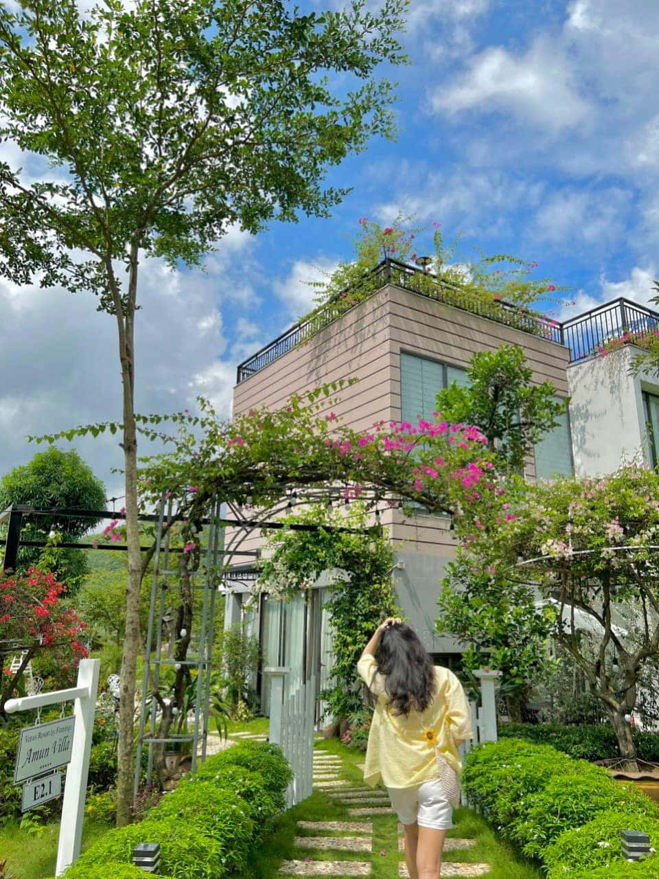 写真6