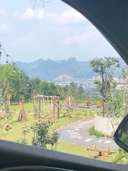 Ảnh 7