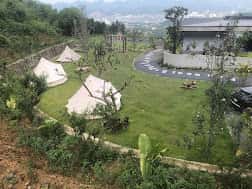 Ảnh 5