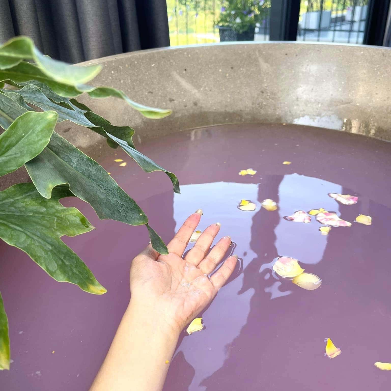 Ảnh 5