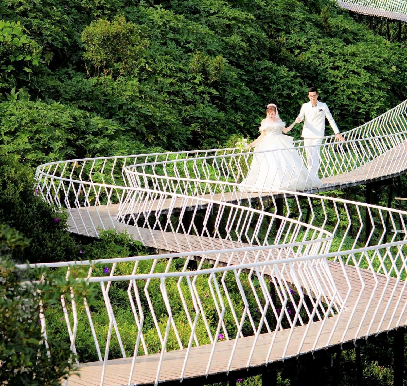 Cầu Mây Tam Đảo