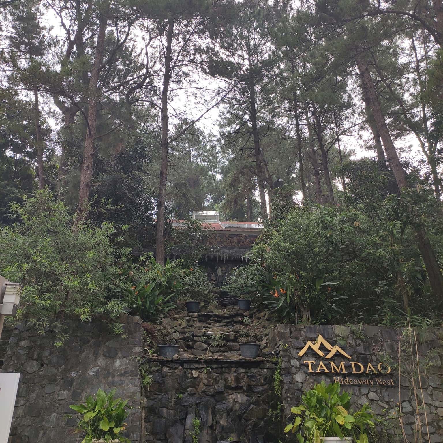 Ảnh 1