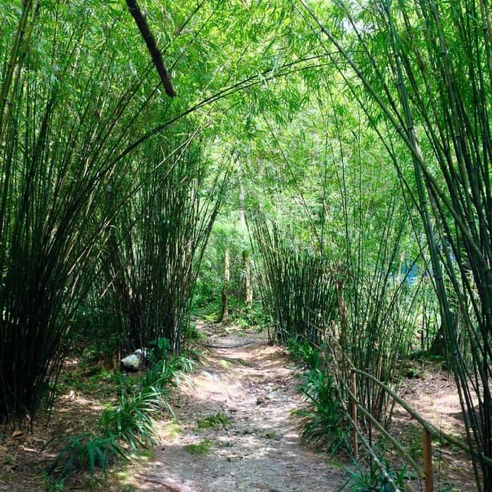 chua dia nguc tam dao vinh phuc