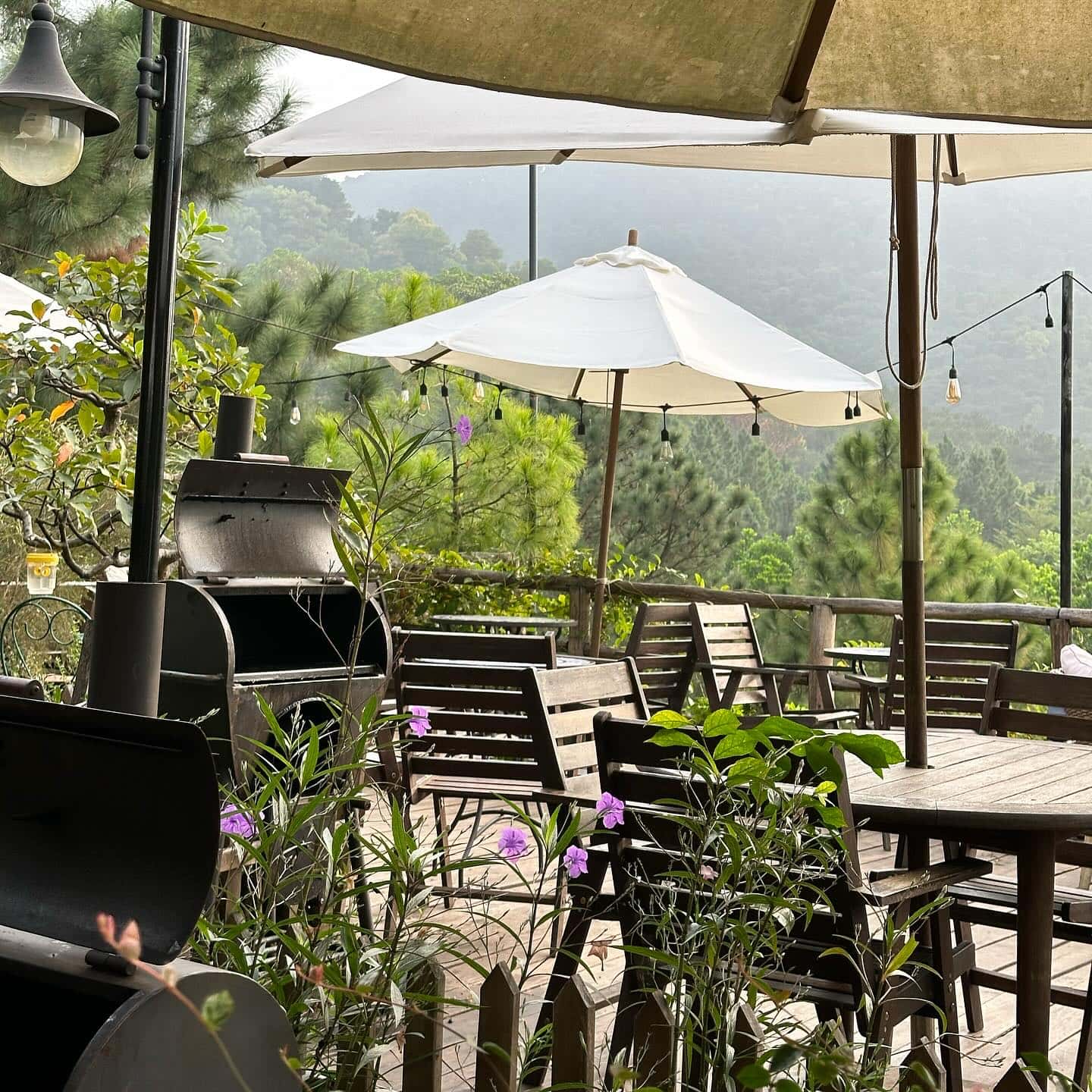 Nhà hàng và cafe