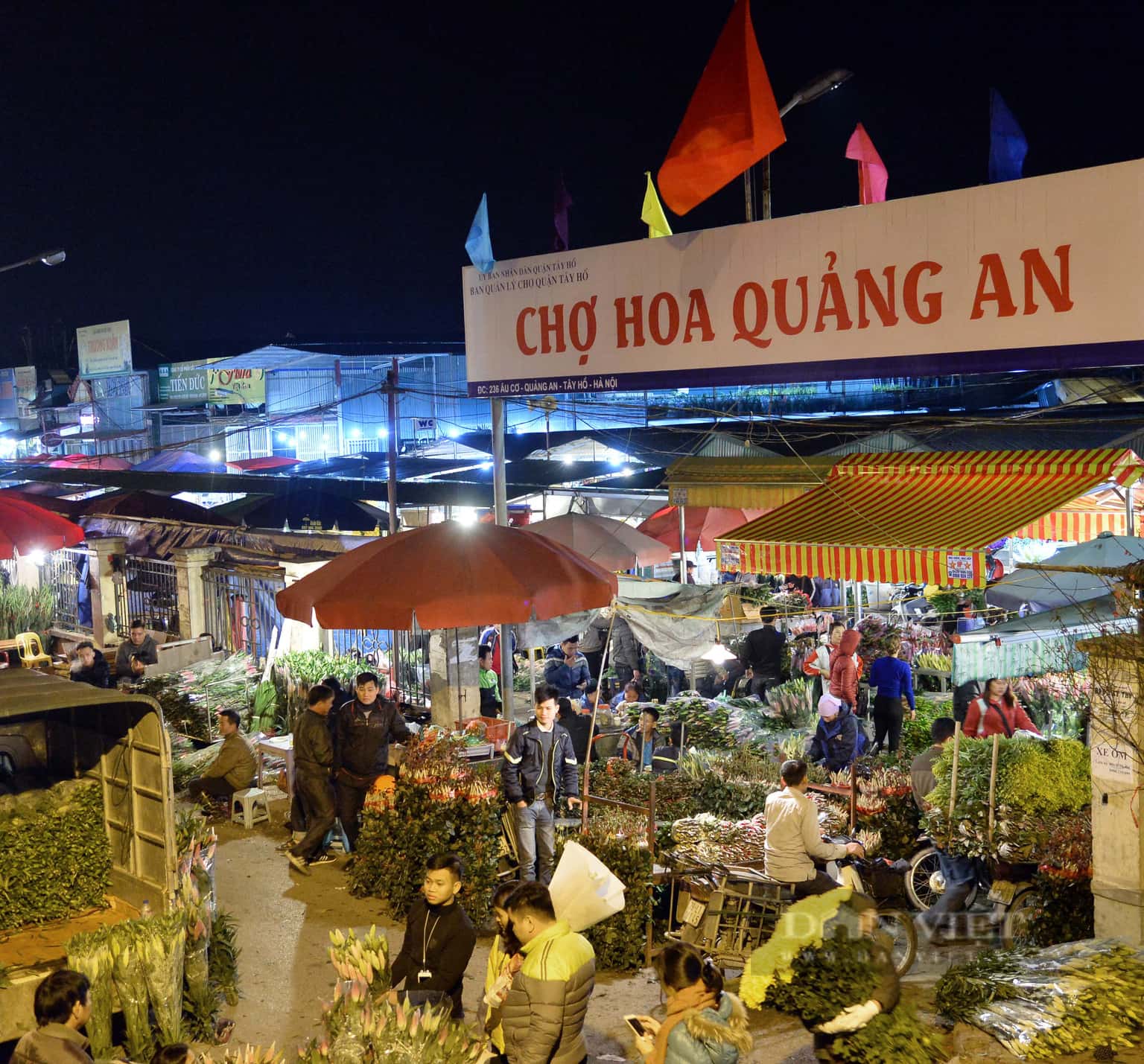 justfly cho hoa quang ba hanoi