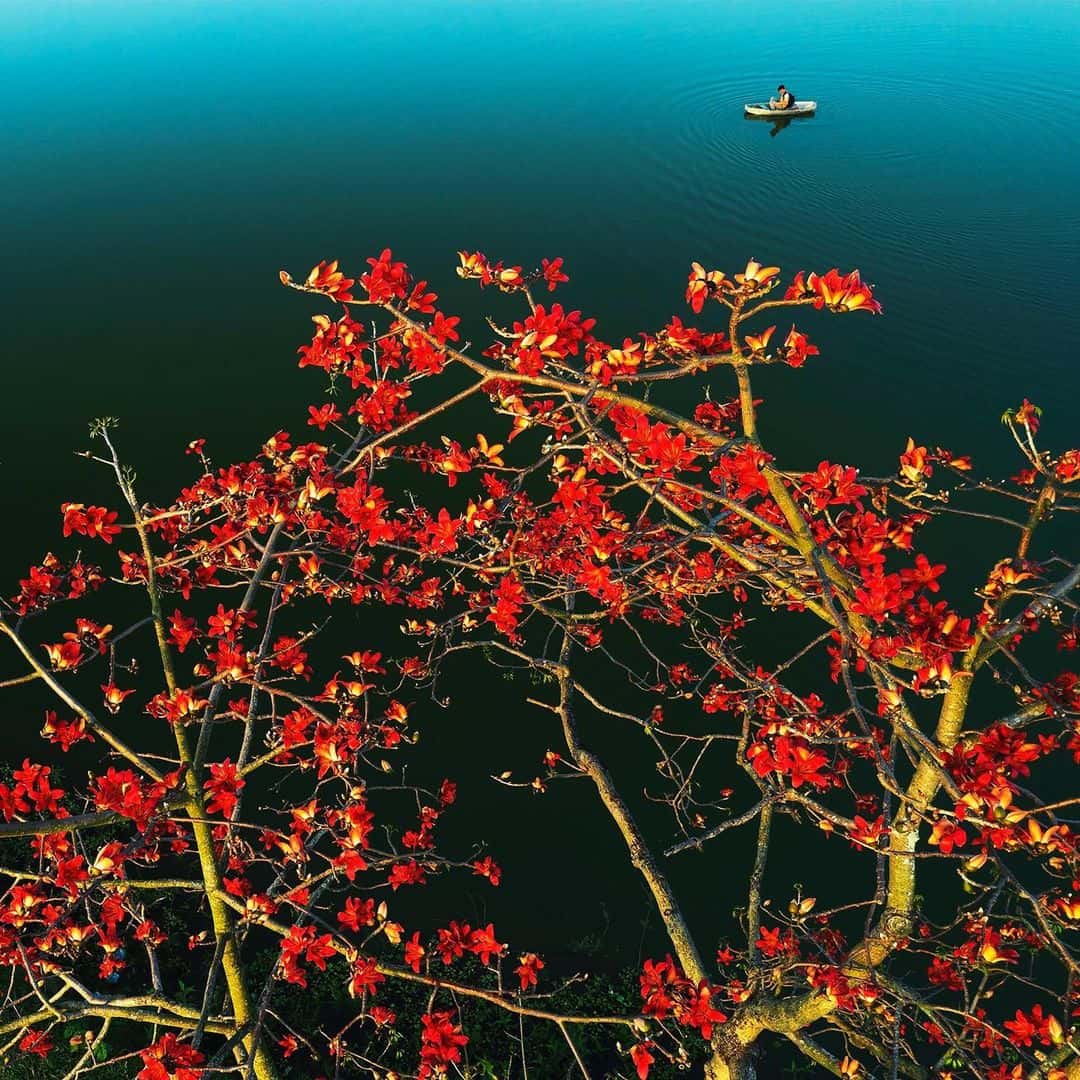 justfly ho quan son hanoi