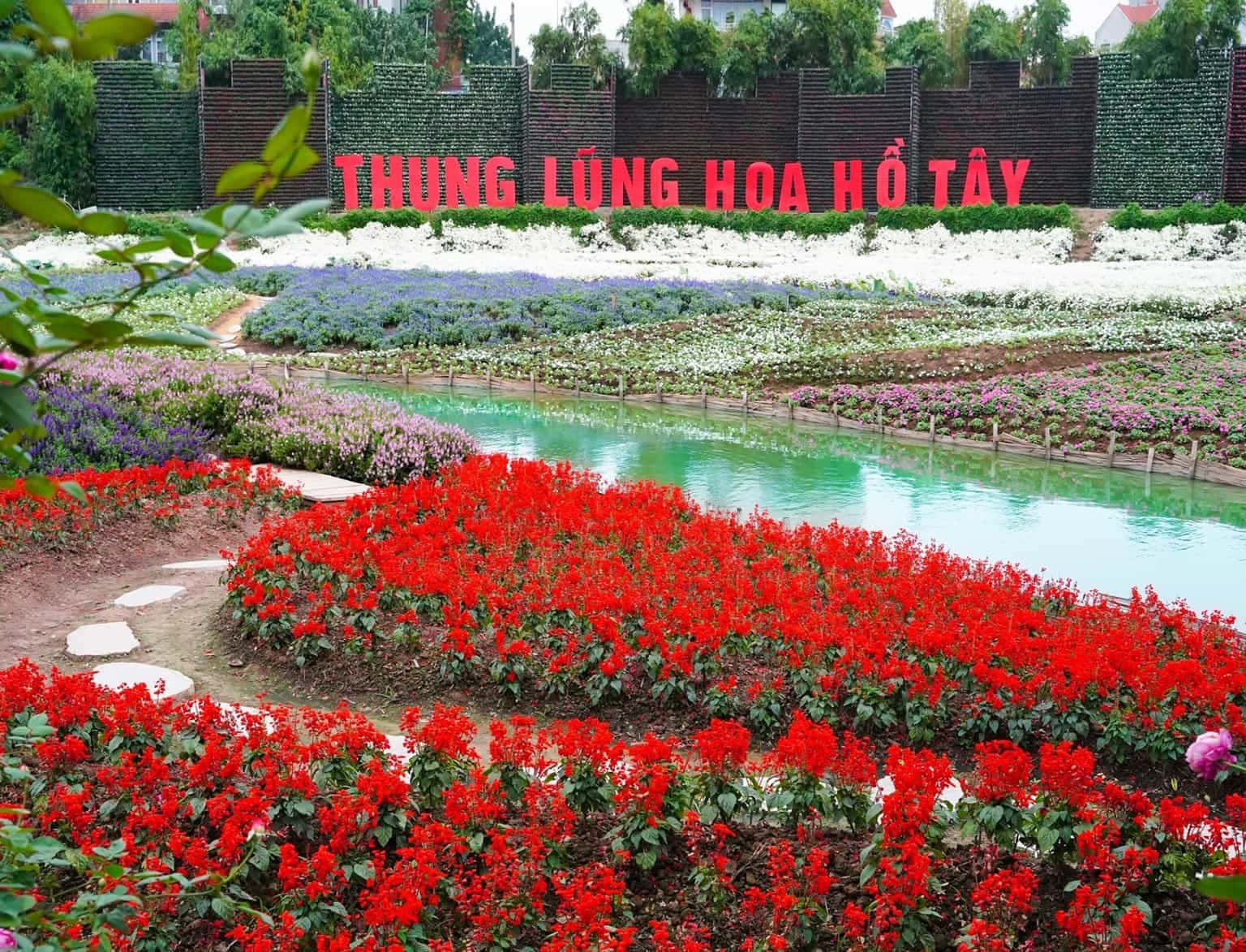 justfly thung lung hoa ho tay hanoi