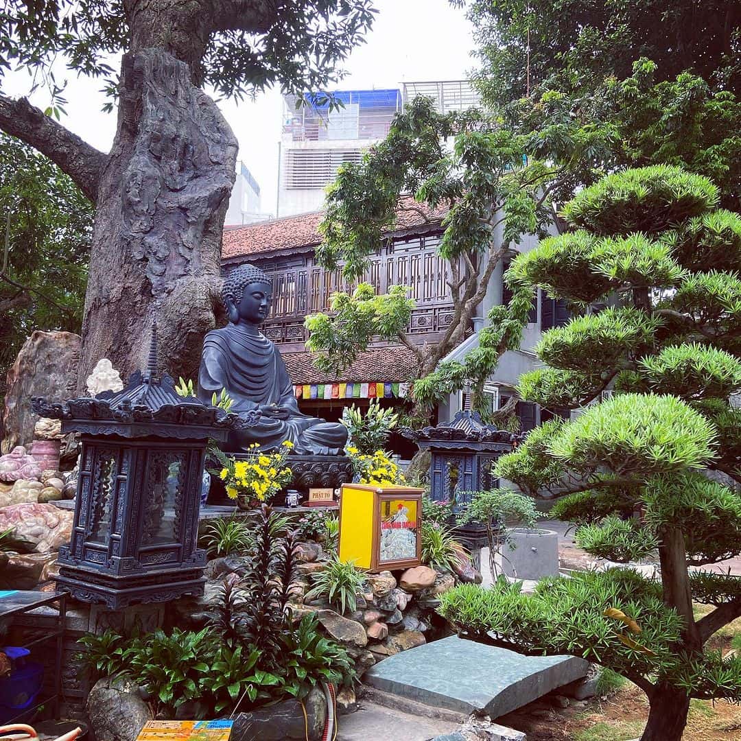 justfly chua van nien hanoi