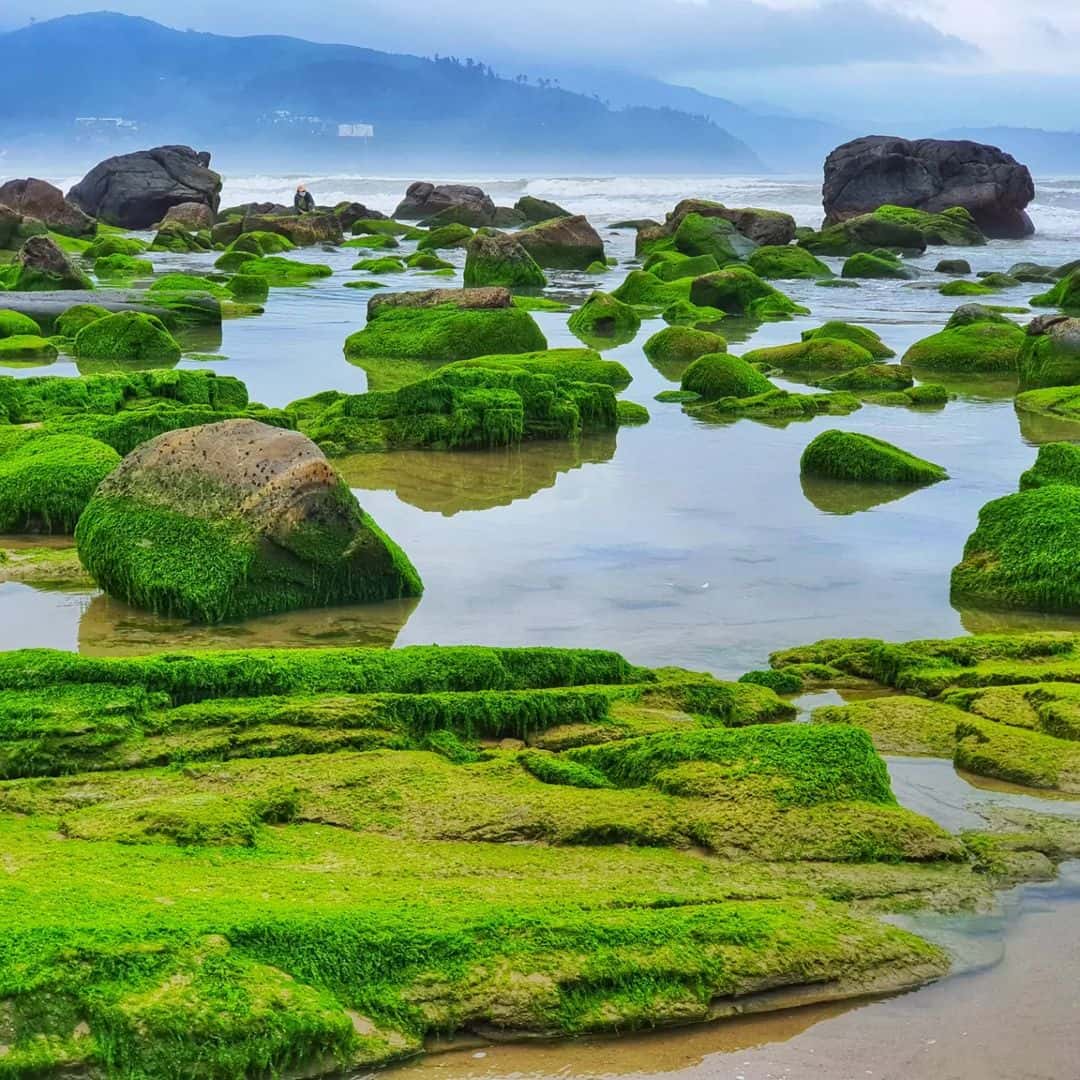 justfly ran nam o da nang
