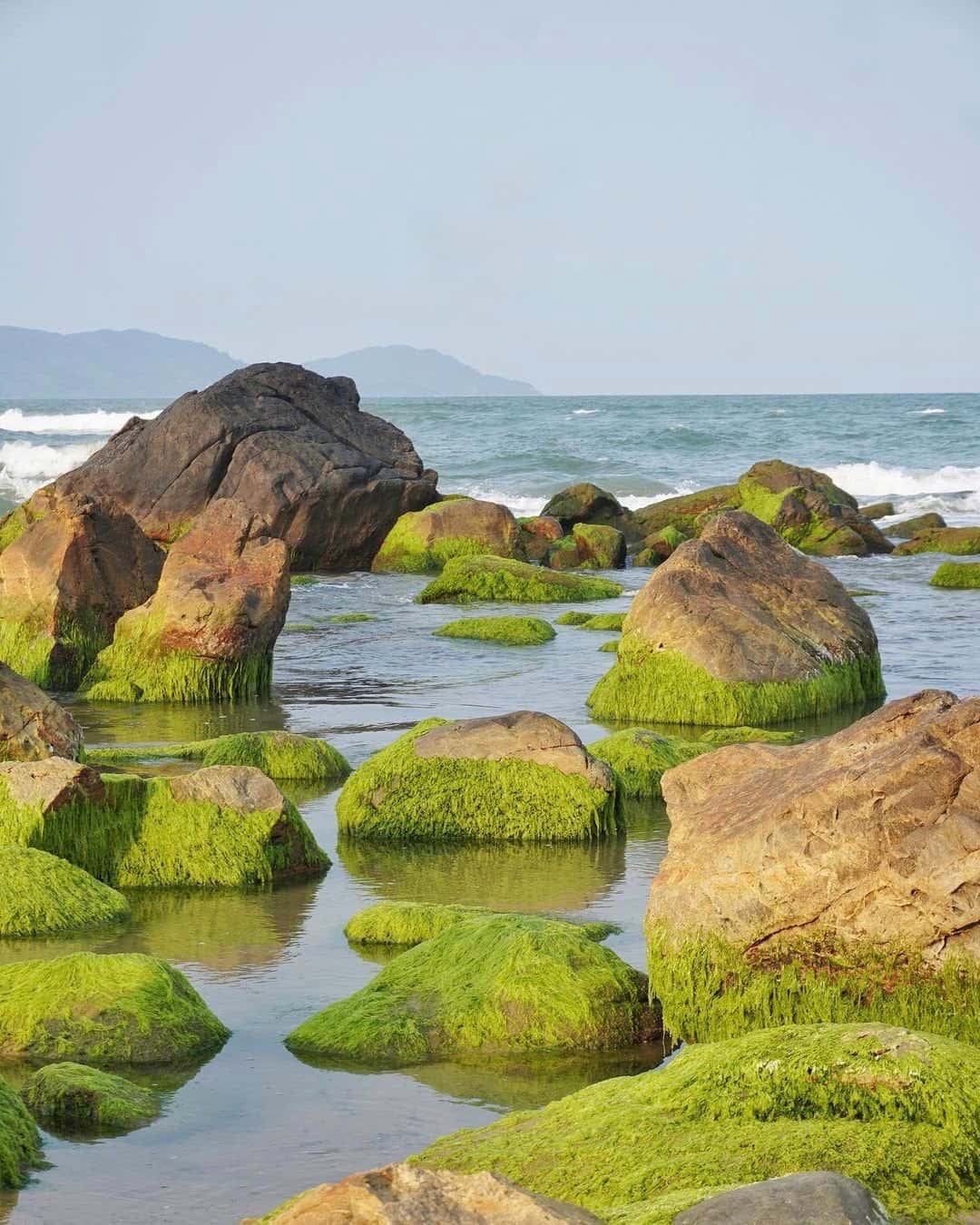 justfly ran nam o da nang