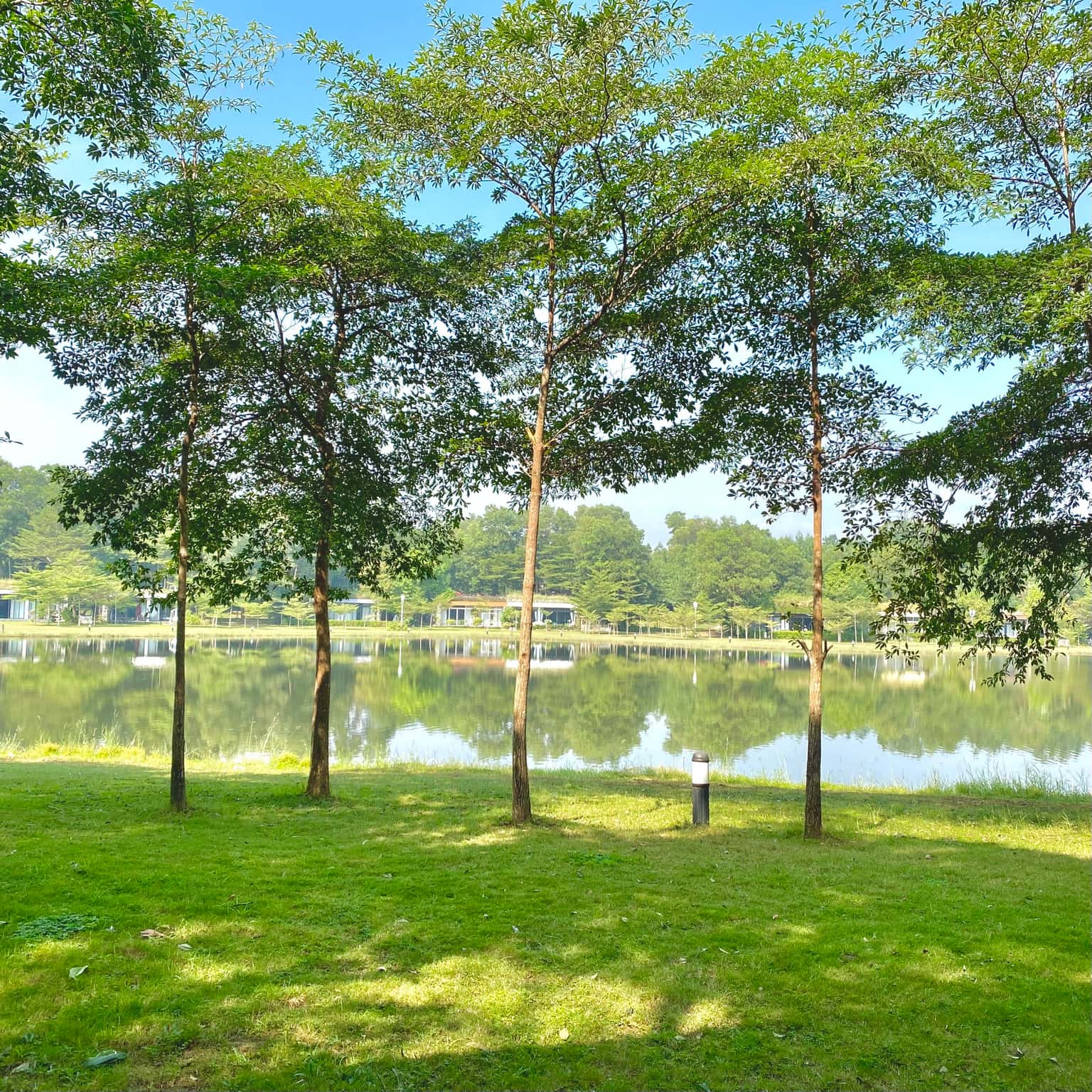 Villa R310, Flamingo Đại Lải — photo 9
