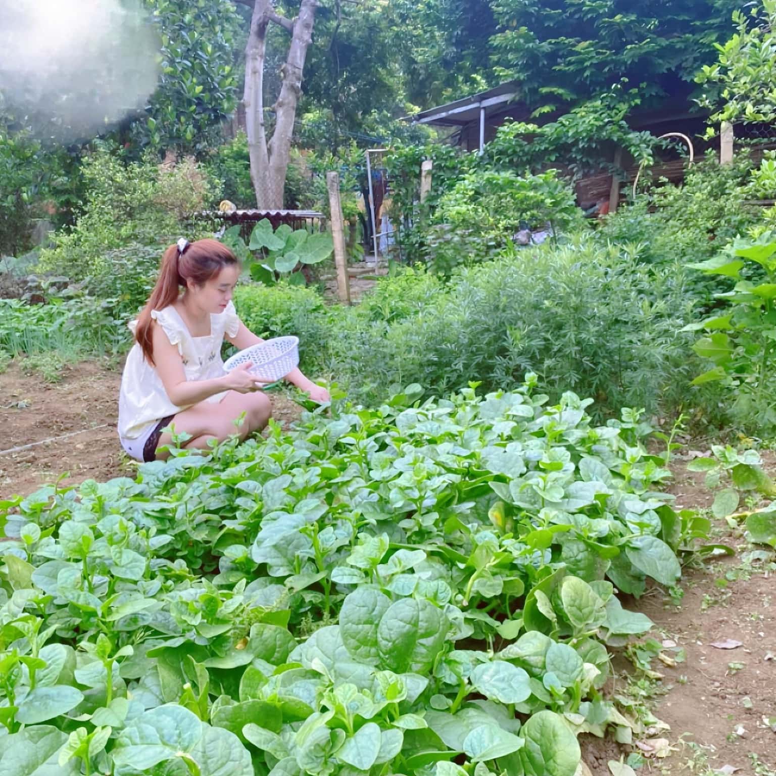 Nhà Gỗ (Salsa Garden) tại hồ Kèo Cà, Sóc Sơn — ảnh 23