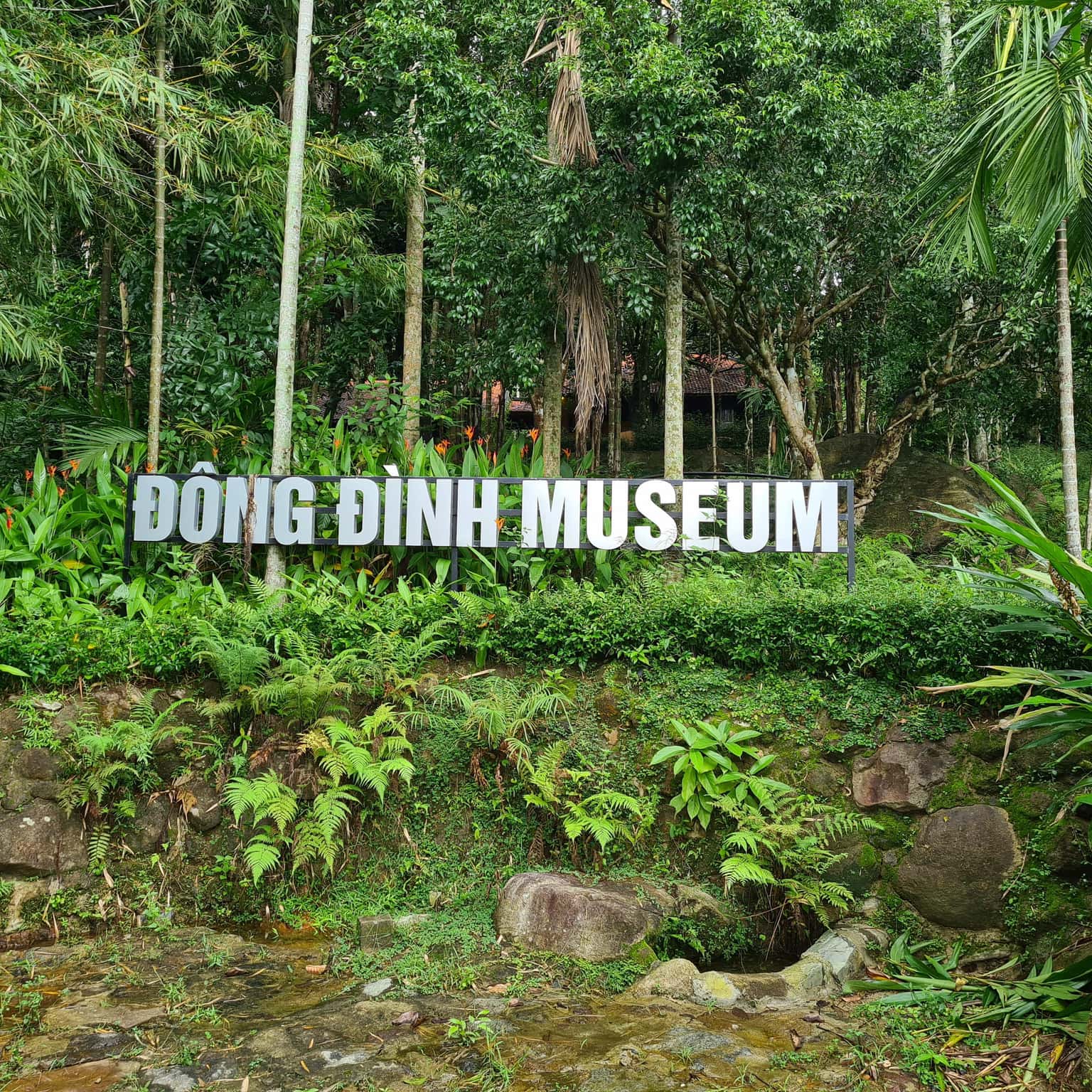 justfly bao tang dong dinh da nang