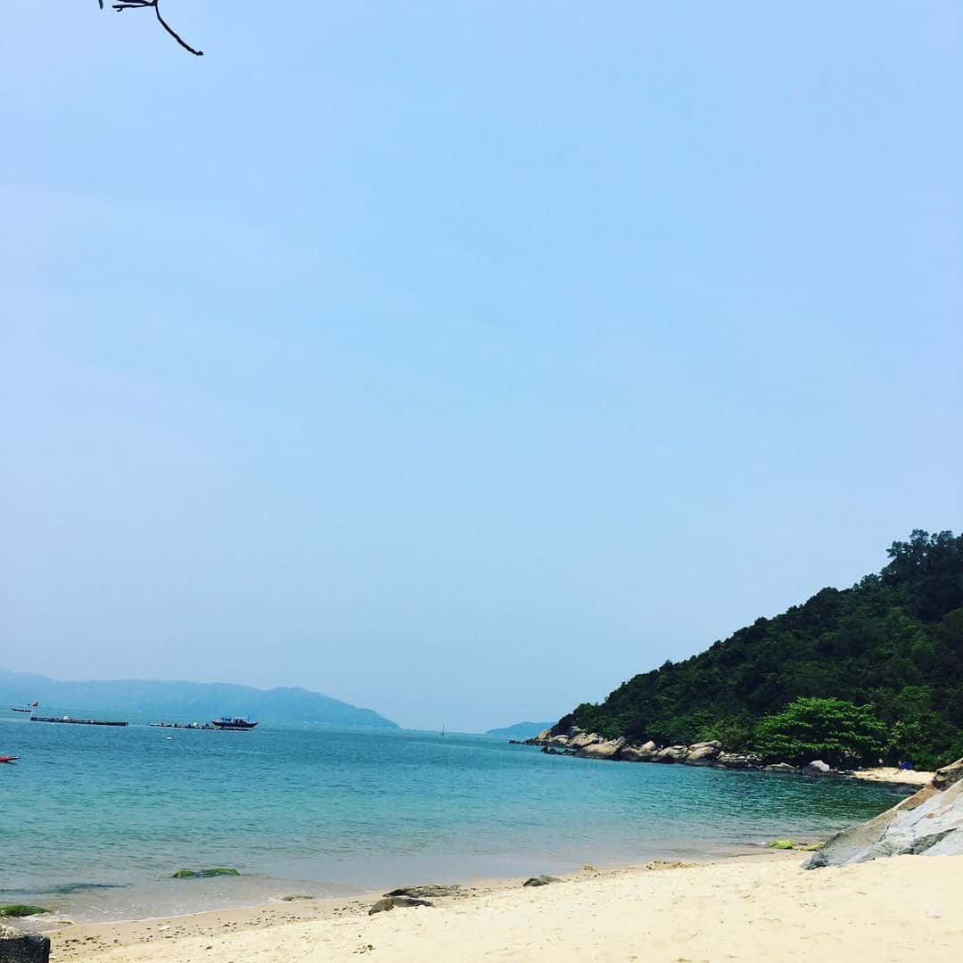 justfly bai cat vang da nang