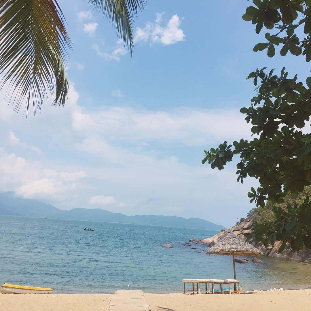 justfly bai cat vang da nang