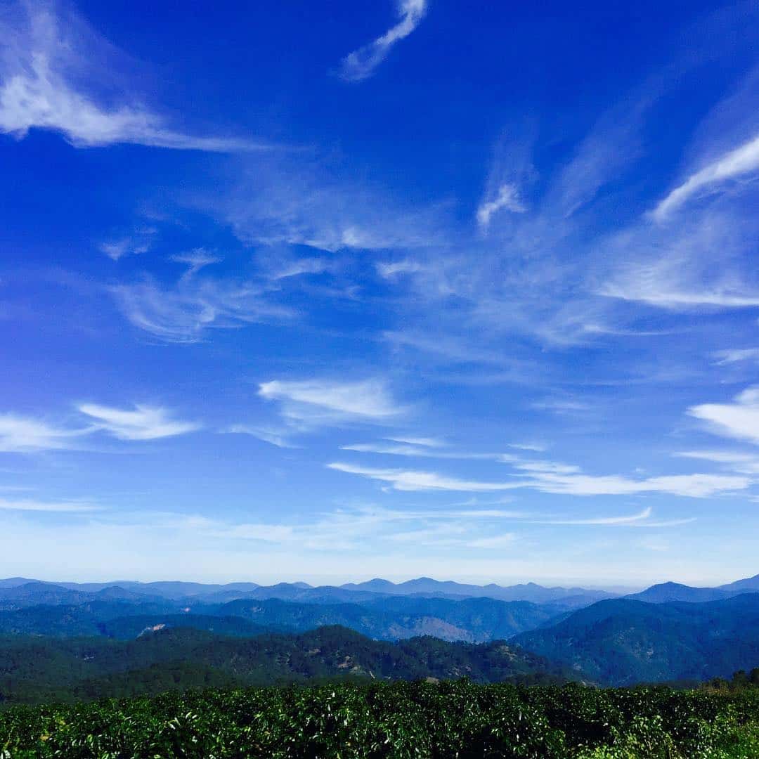 justfly doi che cau dat da lat