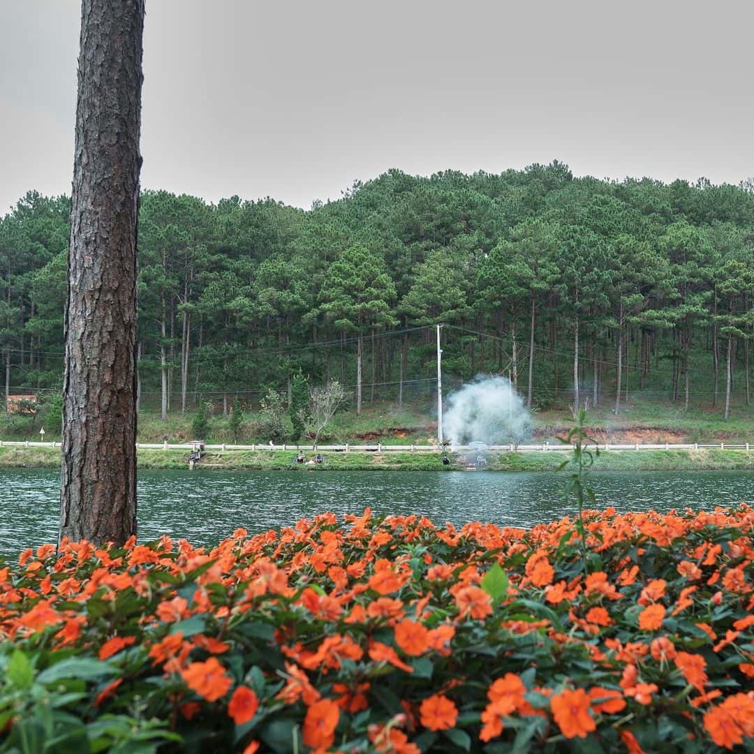 justfly ho tuyen lam da lat 