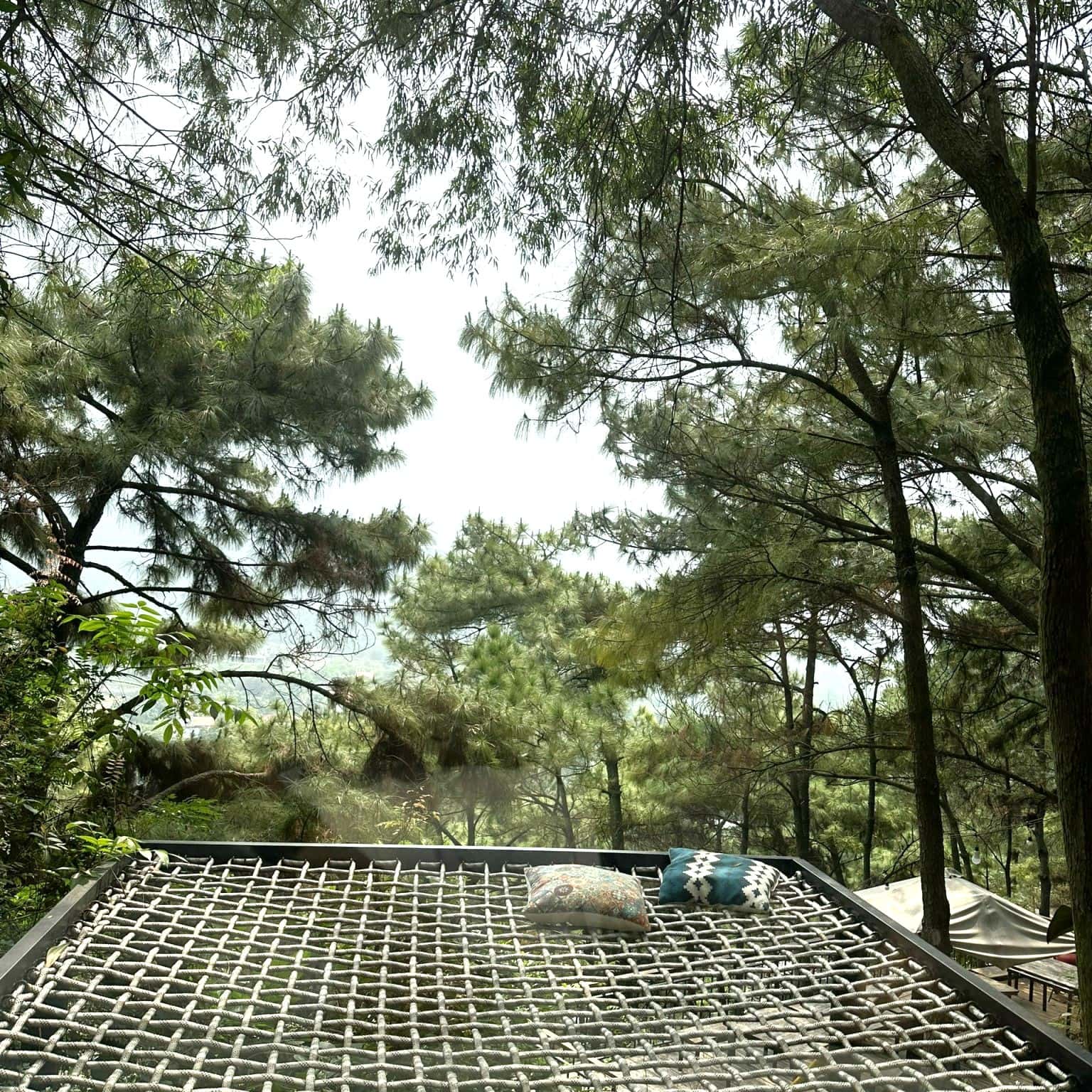 Ảnh 4