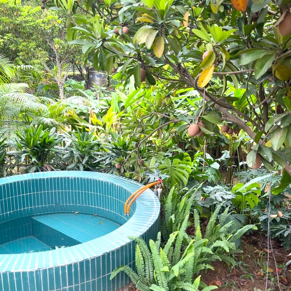 Nhà X (Xiem Homestay) tại Minh Trí, Sóc Sơn — ảnh 15