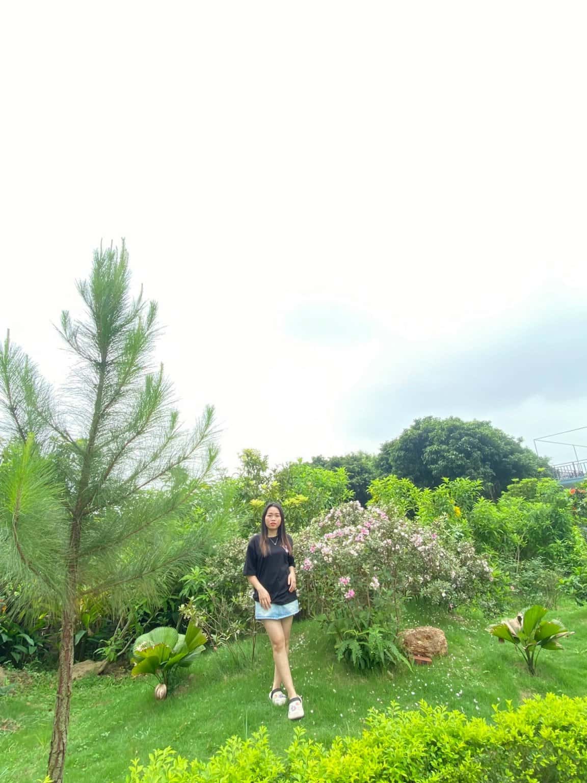 Ảnh 2