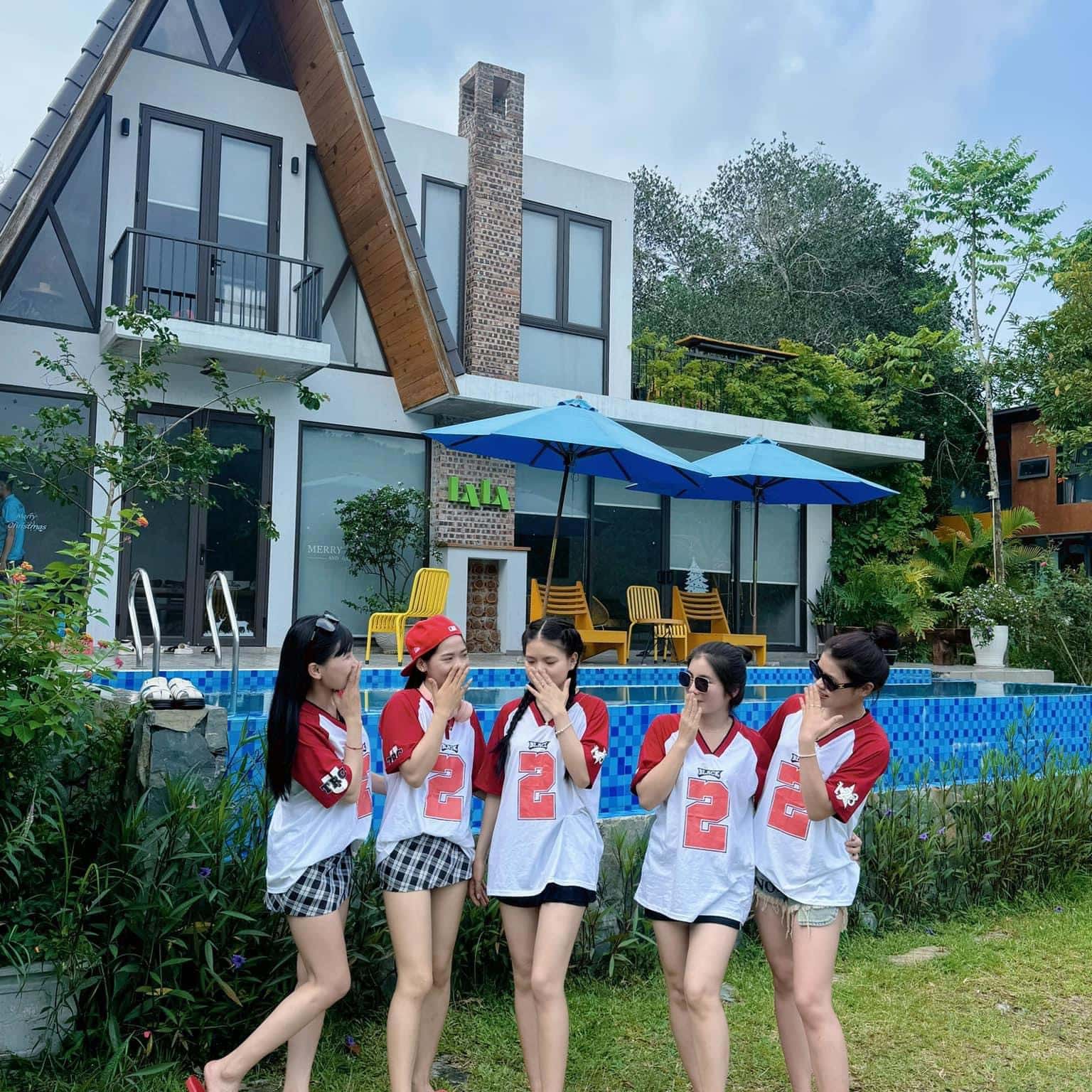 Ảnh 2