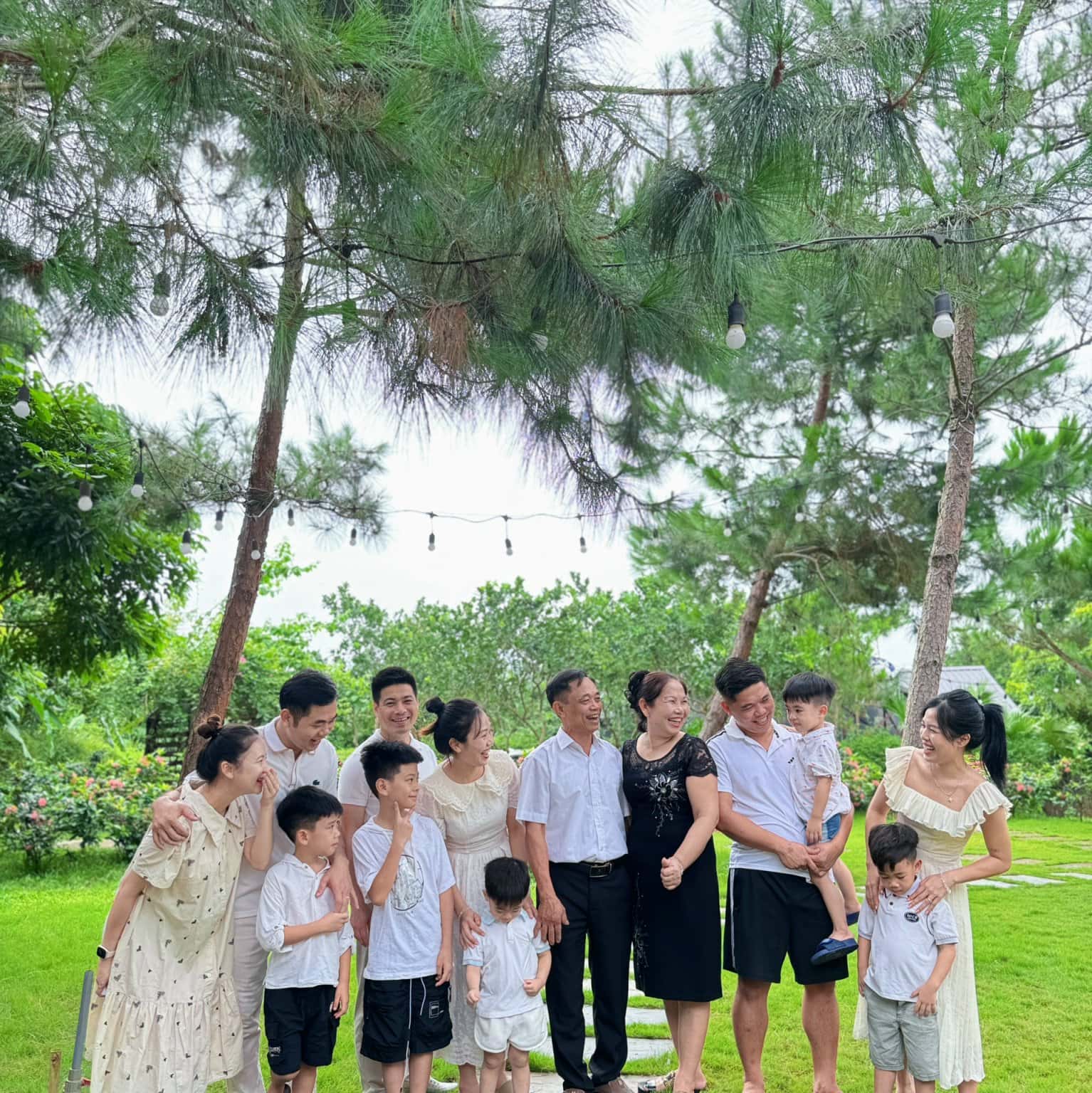 照片8