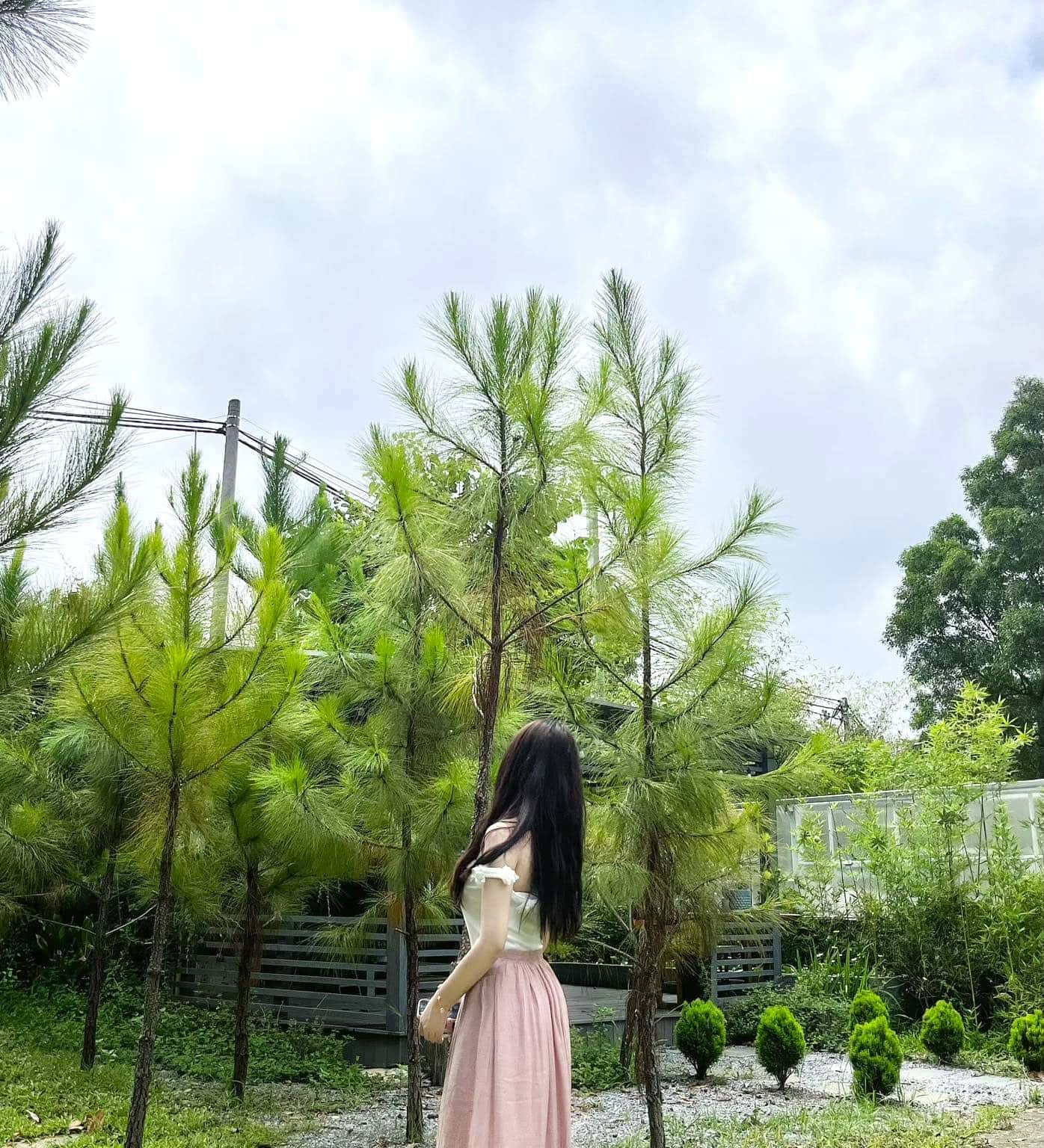 写真7
