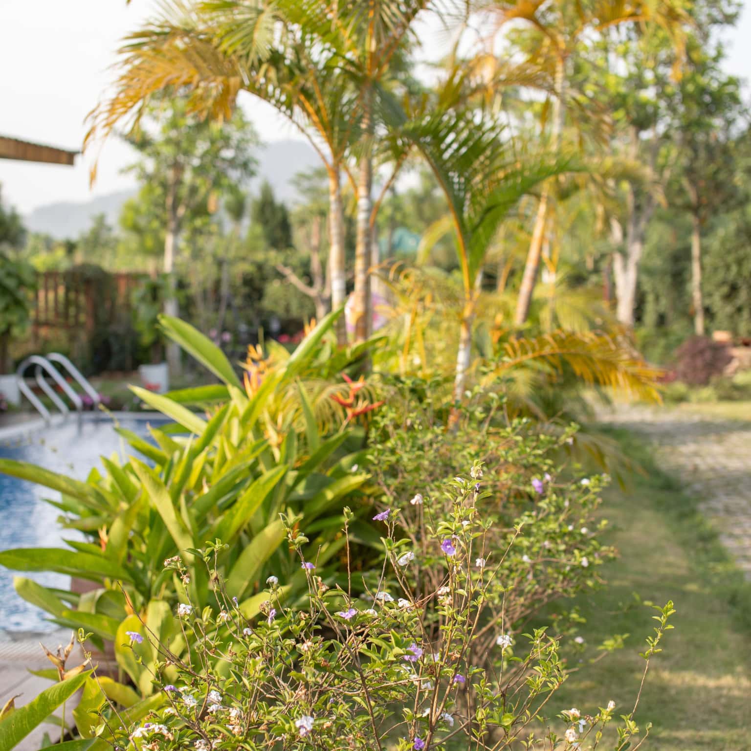 Mimi's House tại Minh Phú, Sóc Sơn — ảnh 7