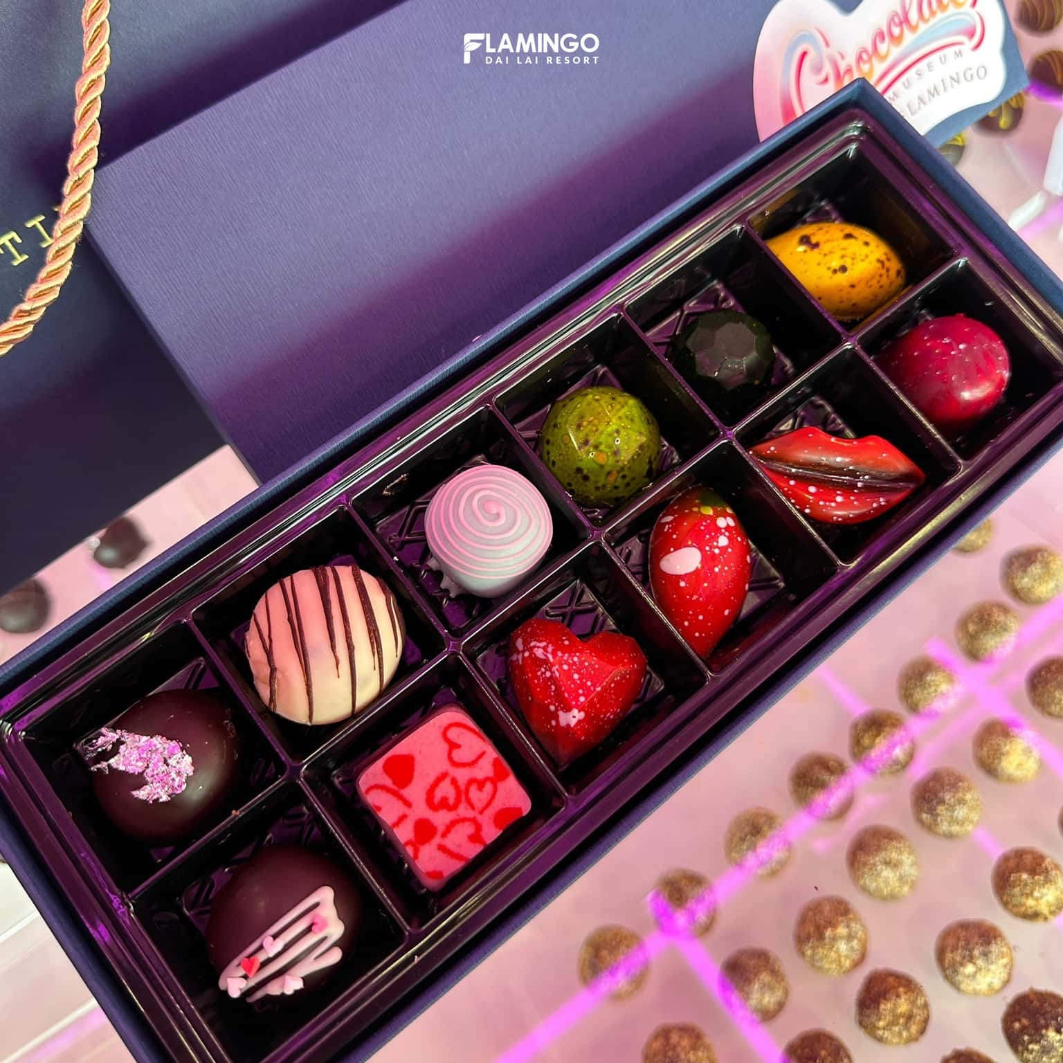 Pink Castle与Flamingo Đại Lải巧克力博物馆 — 照片 6