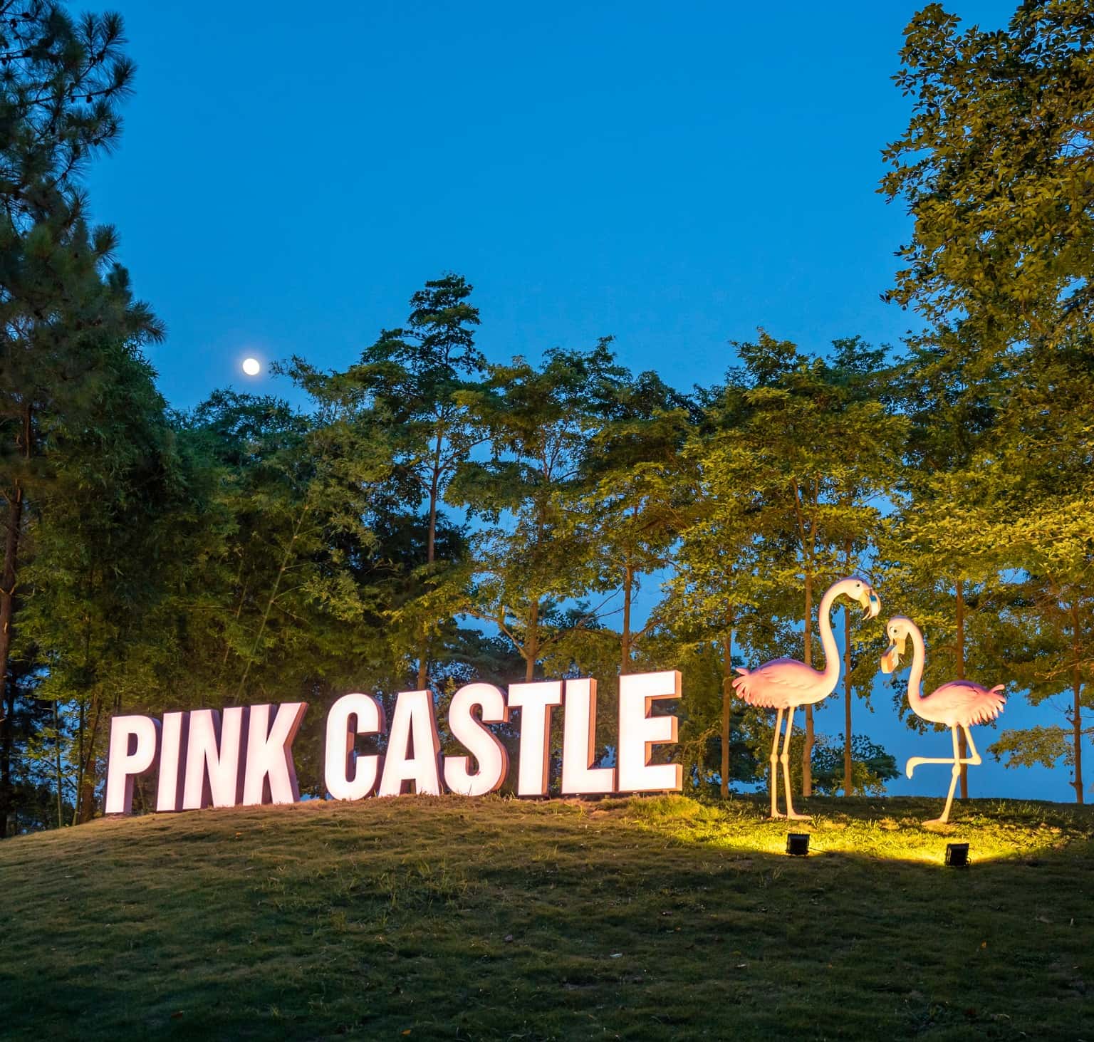 Pink Castle & Bảo tàng Chocolate Flamingo Đại Lải
