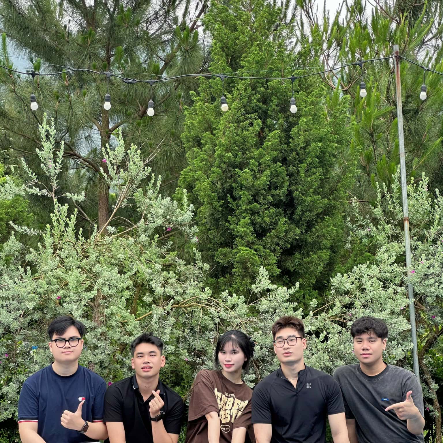 Ảnh 4
