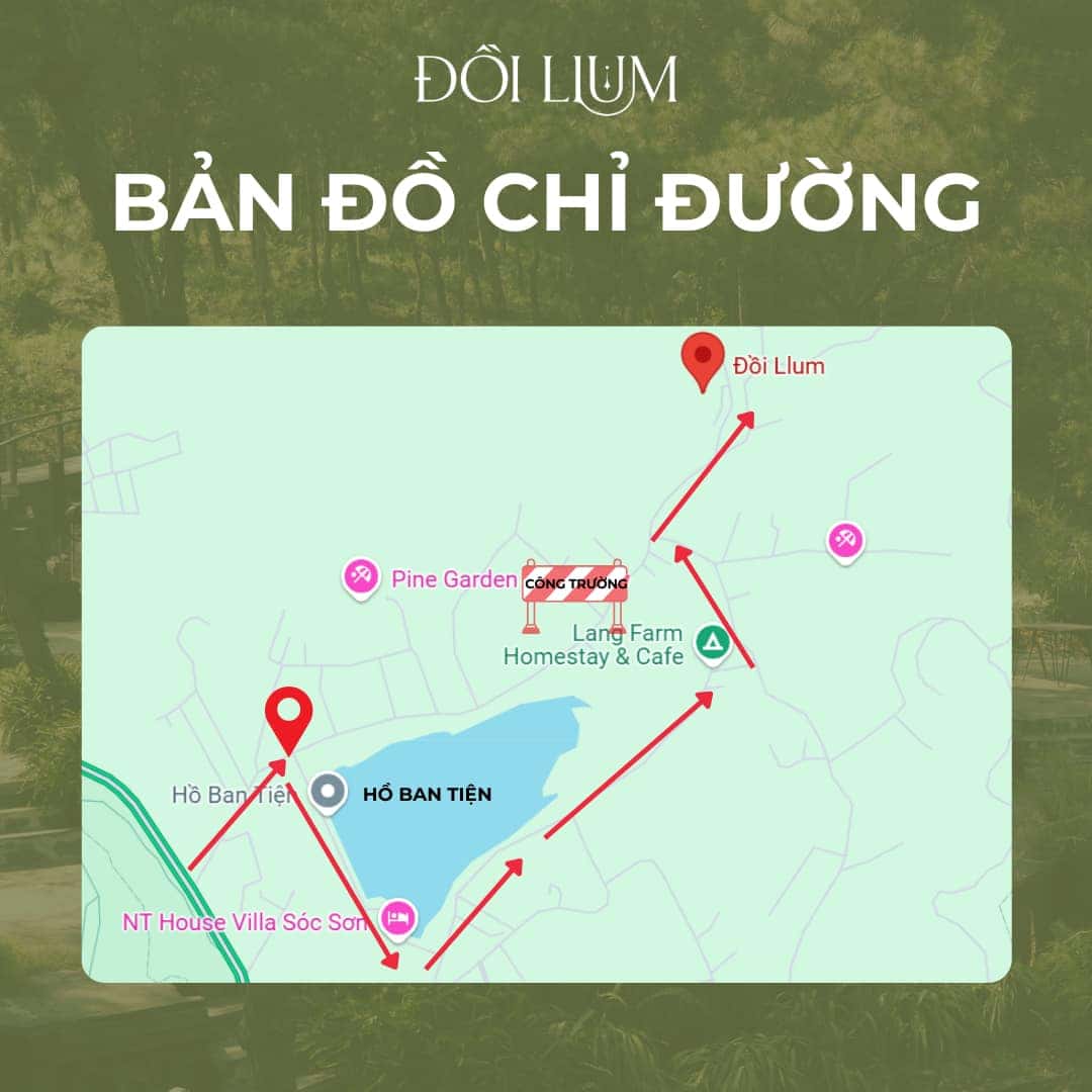 Đồi Llum cafe — photo 9