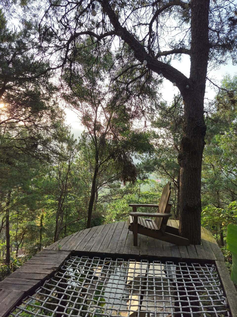 照片3