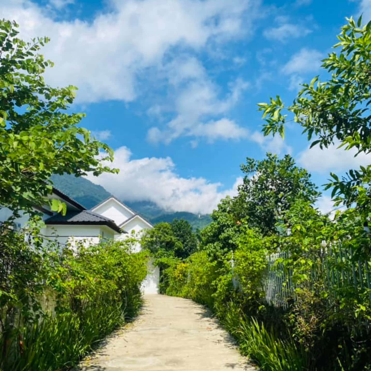 位于Vân Hòa, Ba Vì的Villa Lali Home — 照片 8