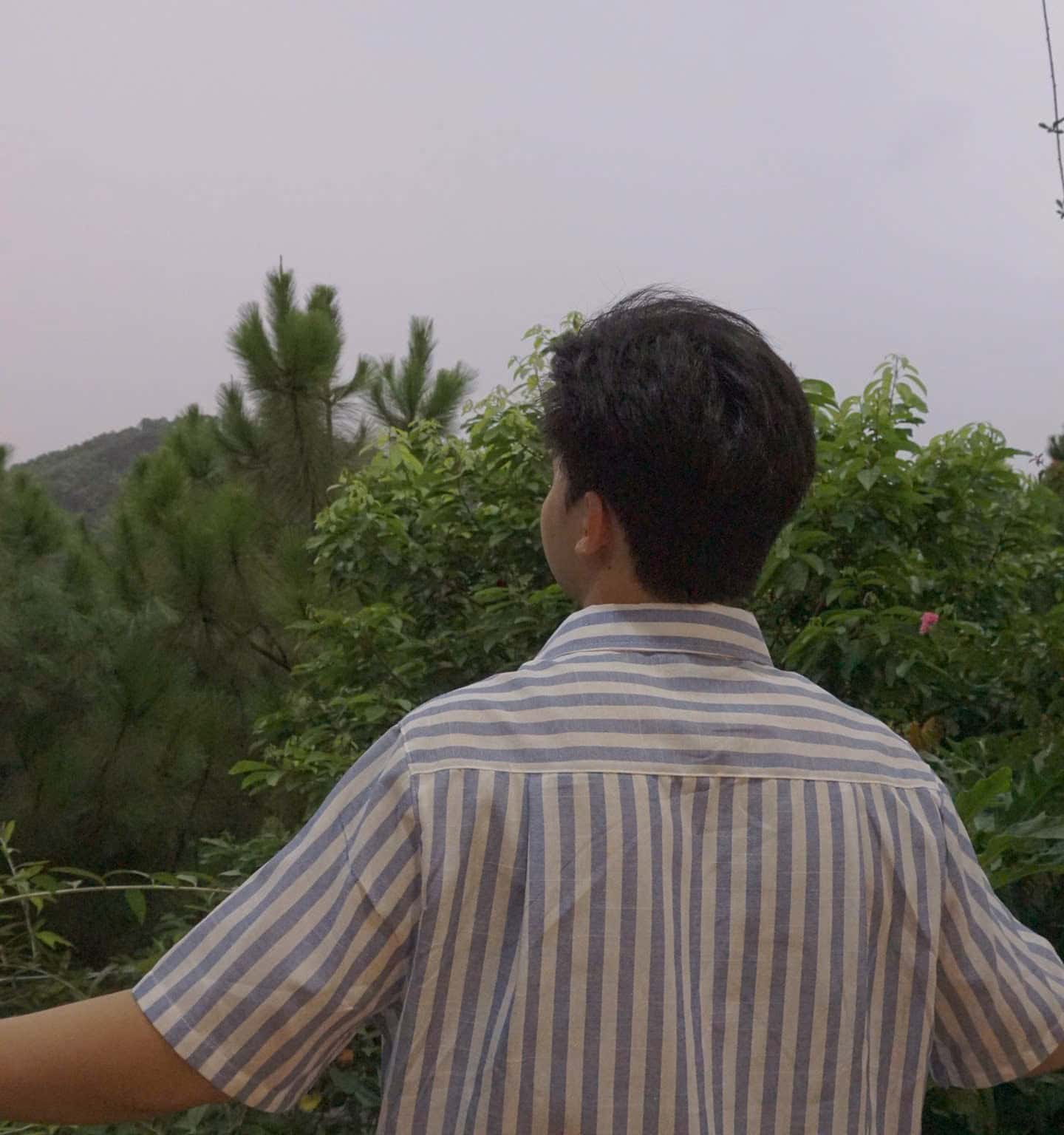 Ảnh 2