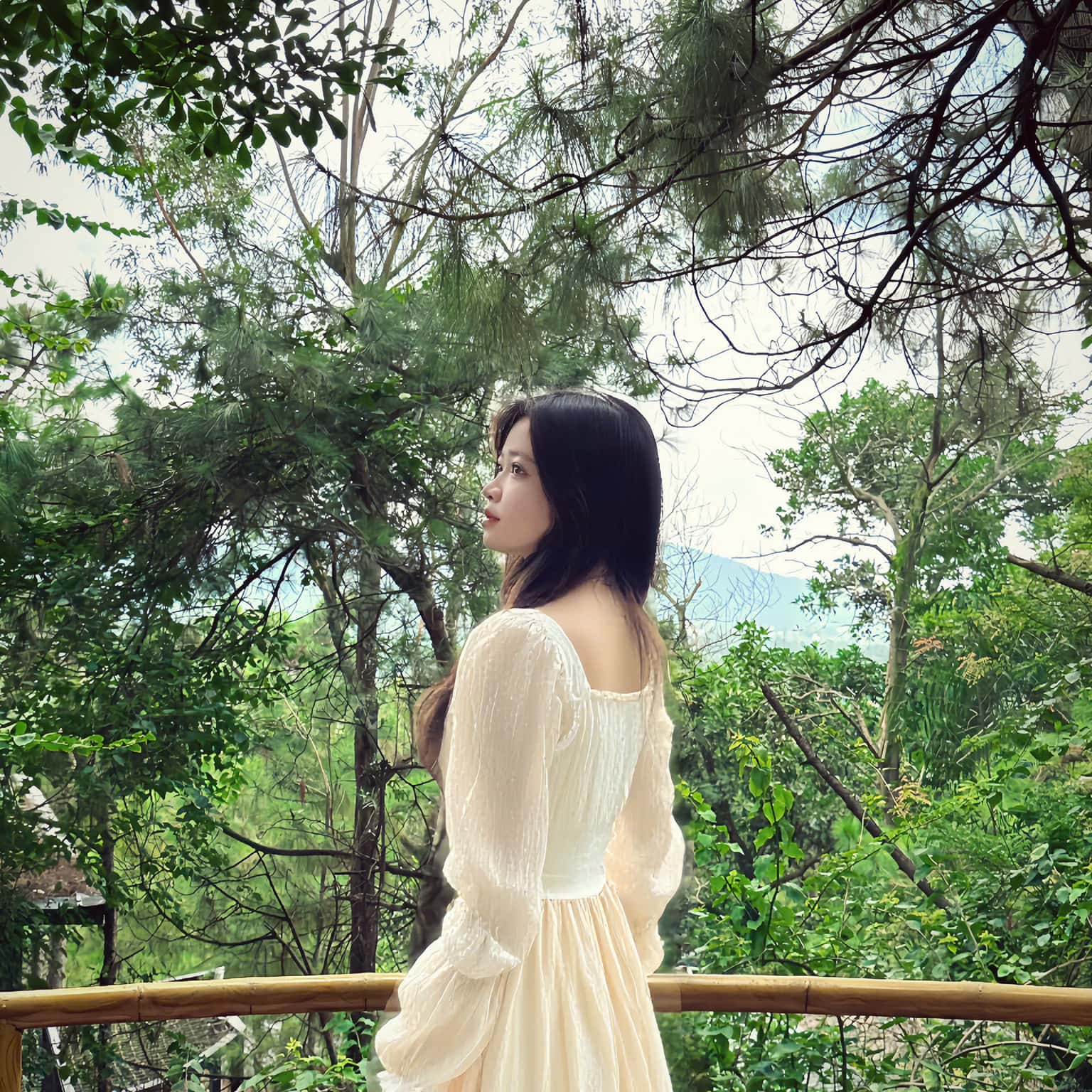 照片1