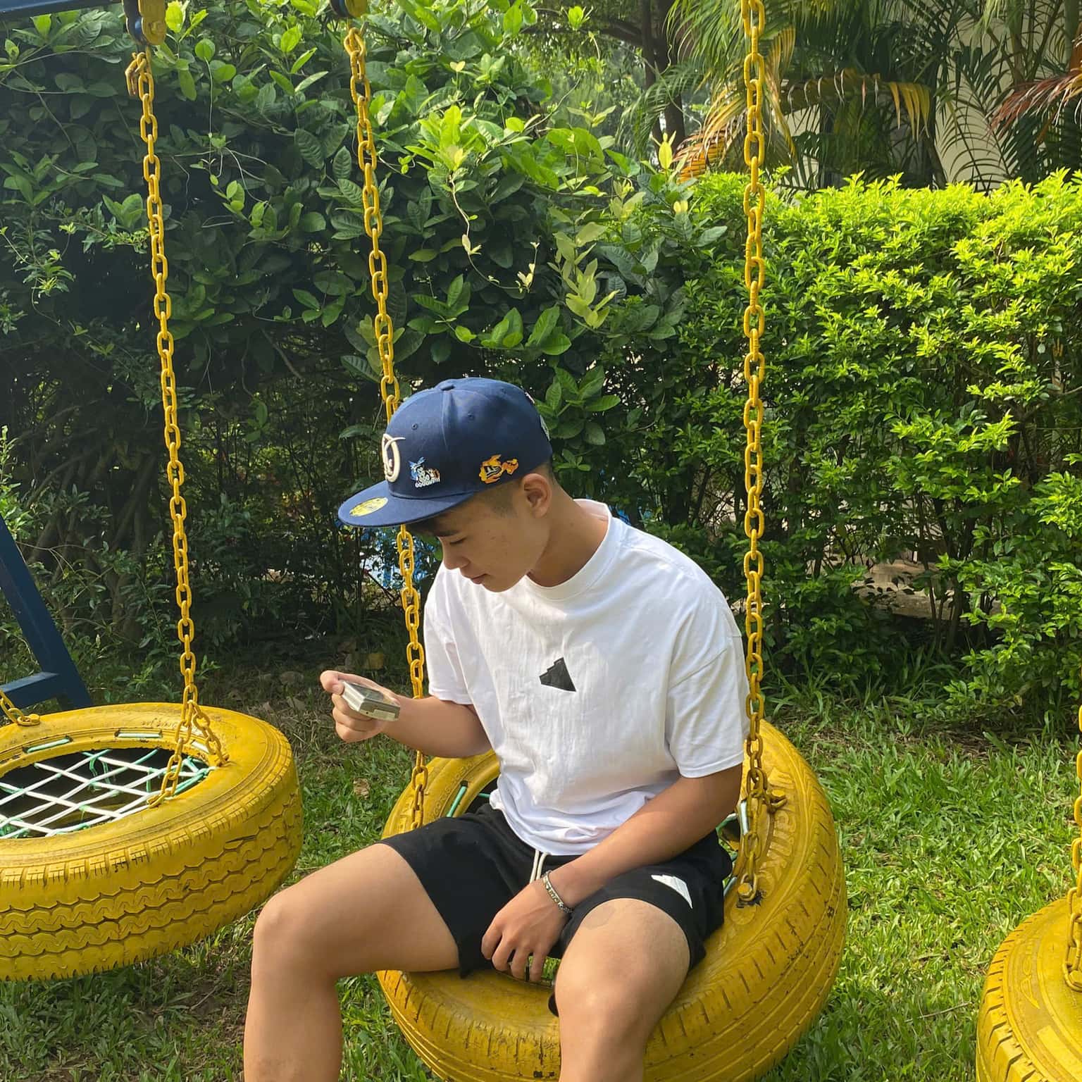 Ảnh 14