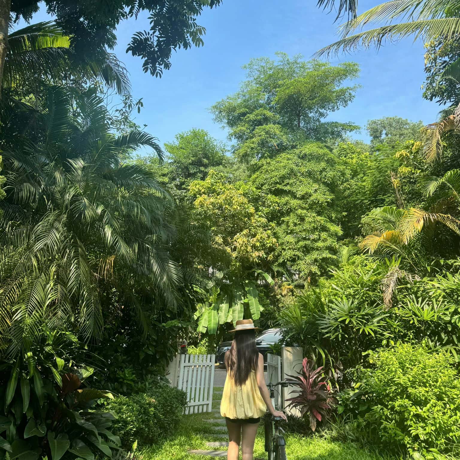 照片10