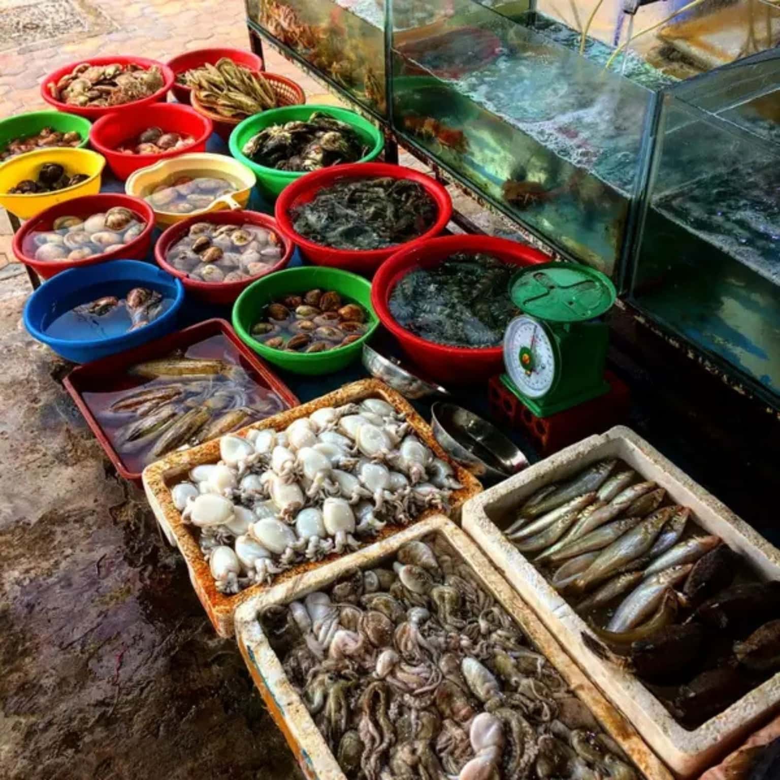 Chợ Phan Thiết — ảnh 6