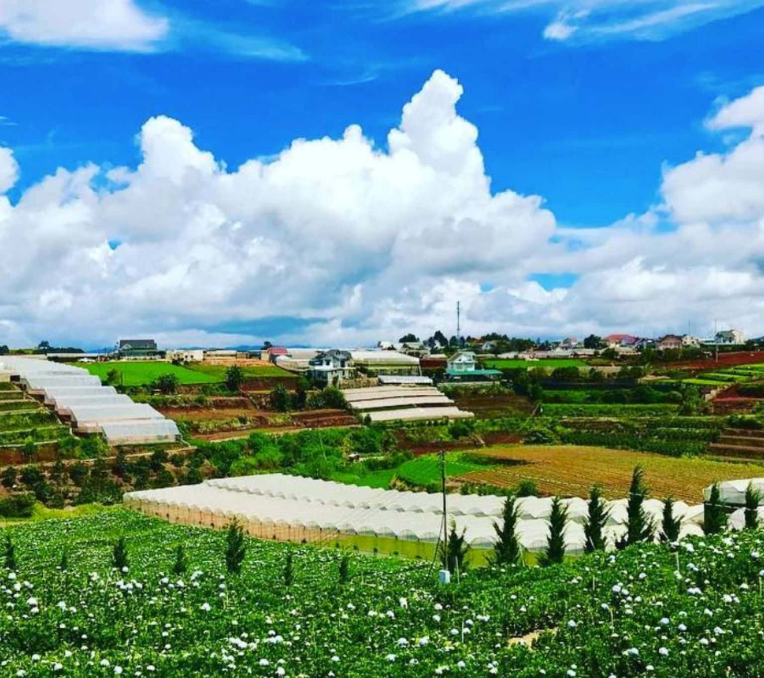 Trại Mát