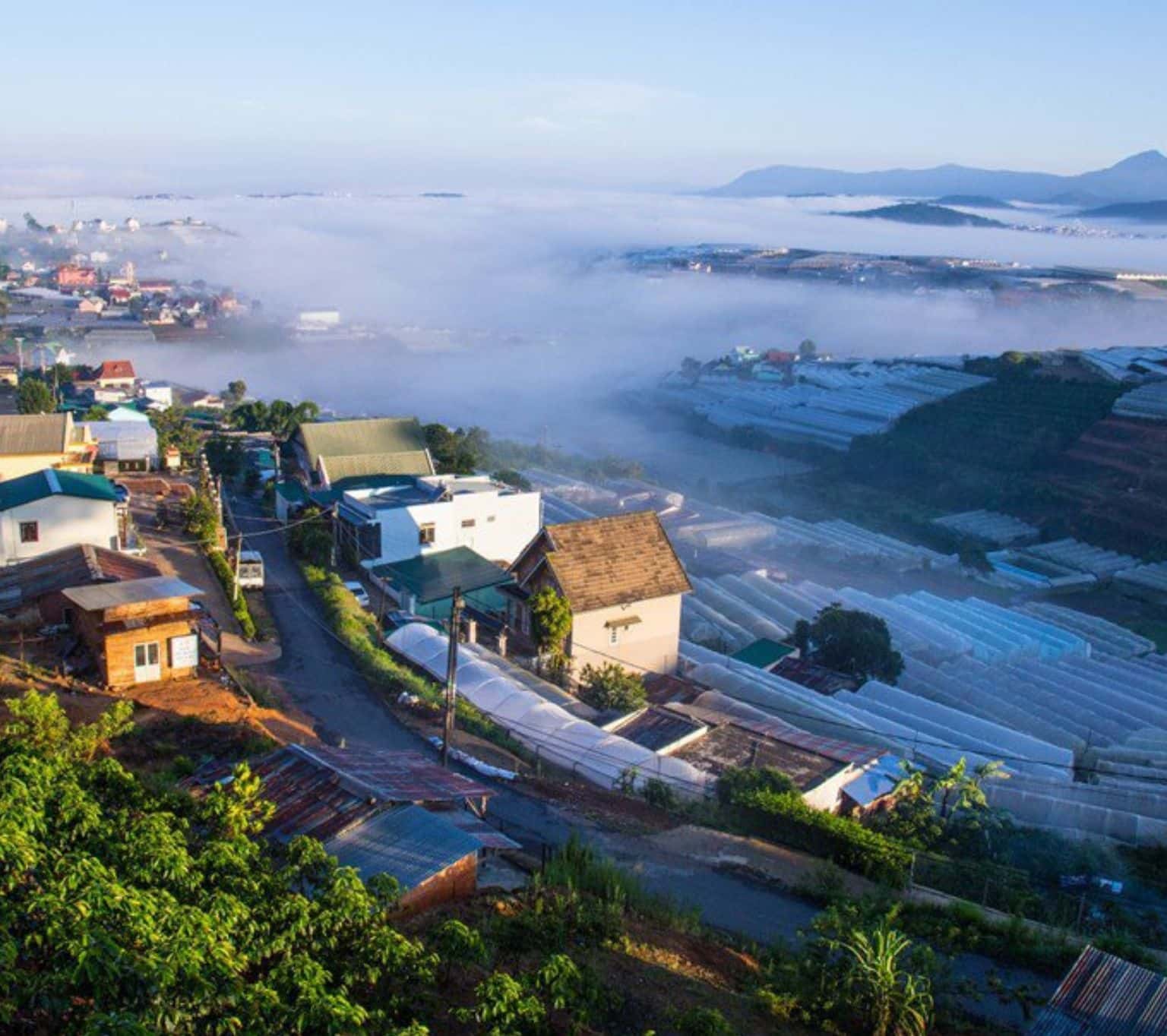 Làng hoa Thái Phiên
