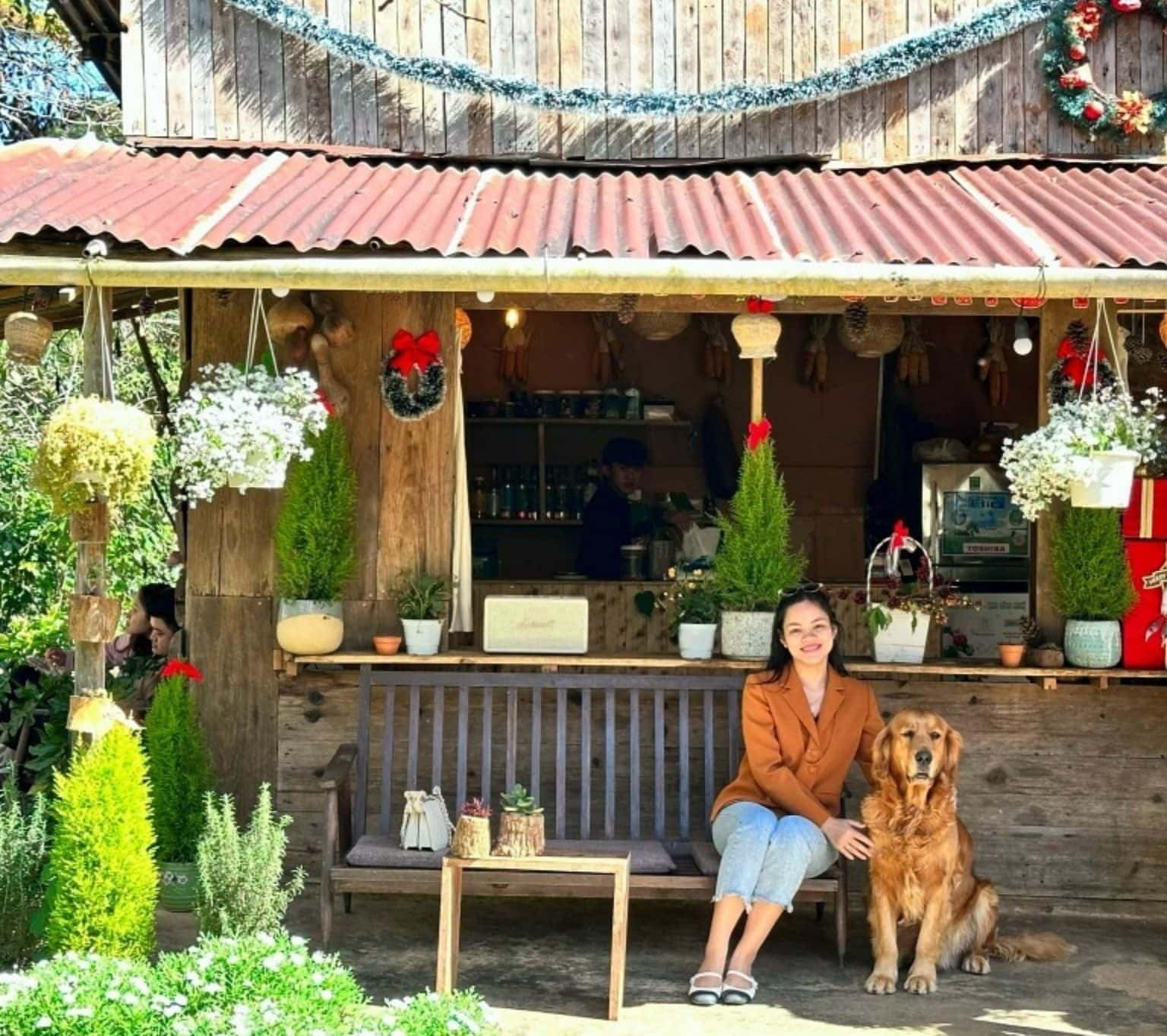Quán Café Bao Tiền Một Mớ Bình Yên (Đà Lạt)