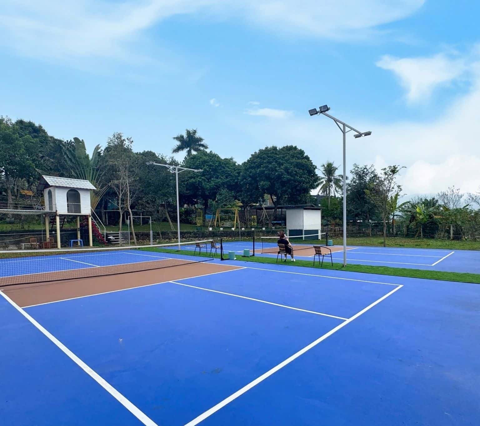 Sân Pickleball